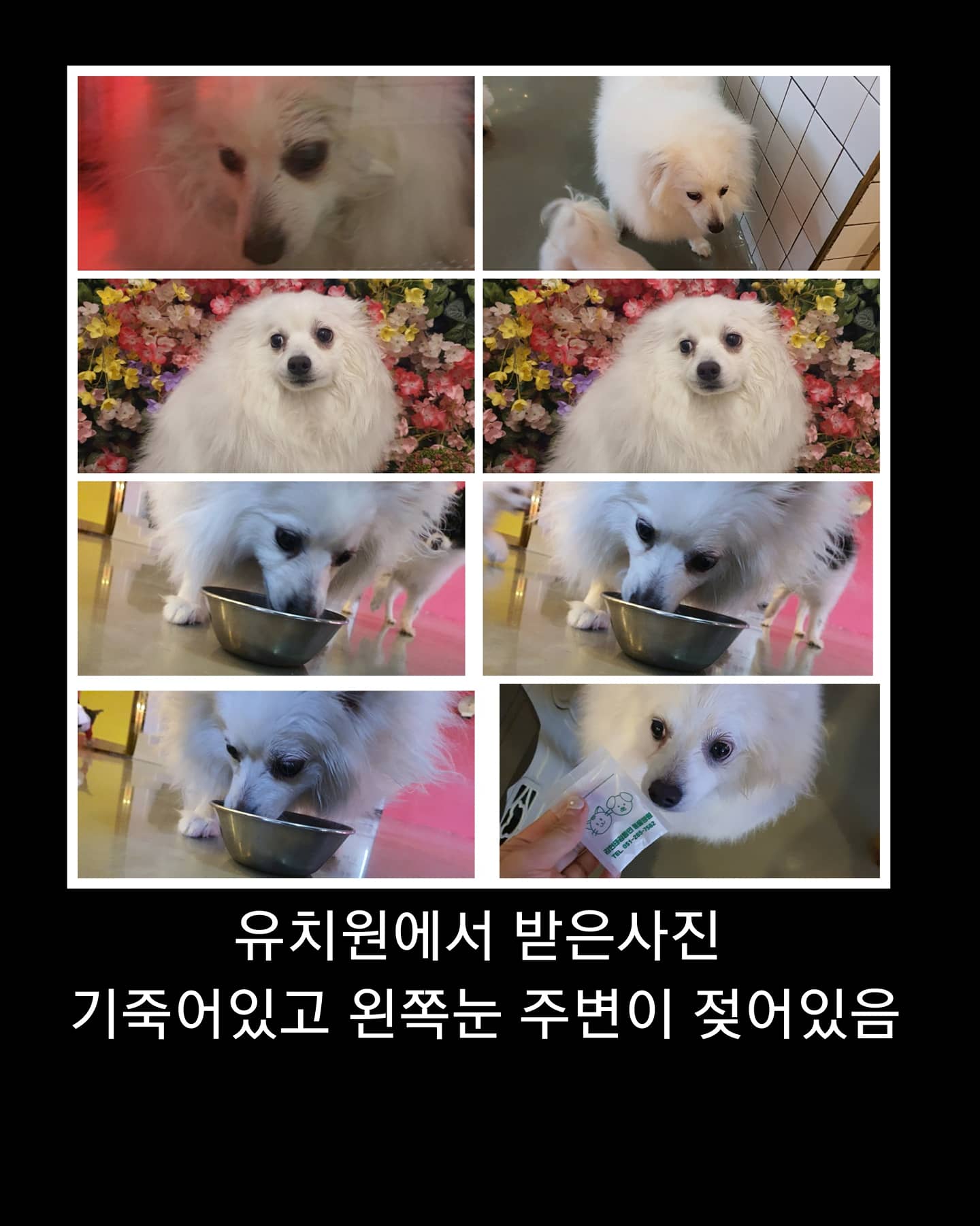 학대의심제보합니다