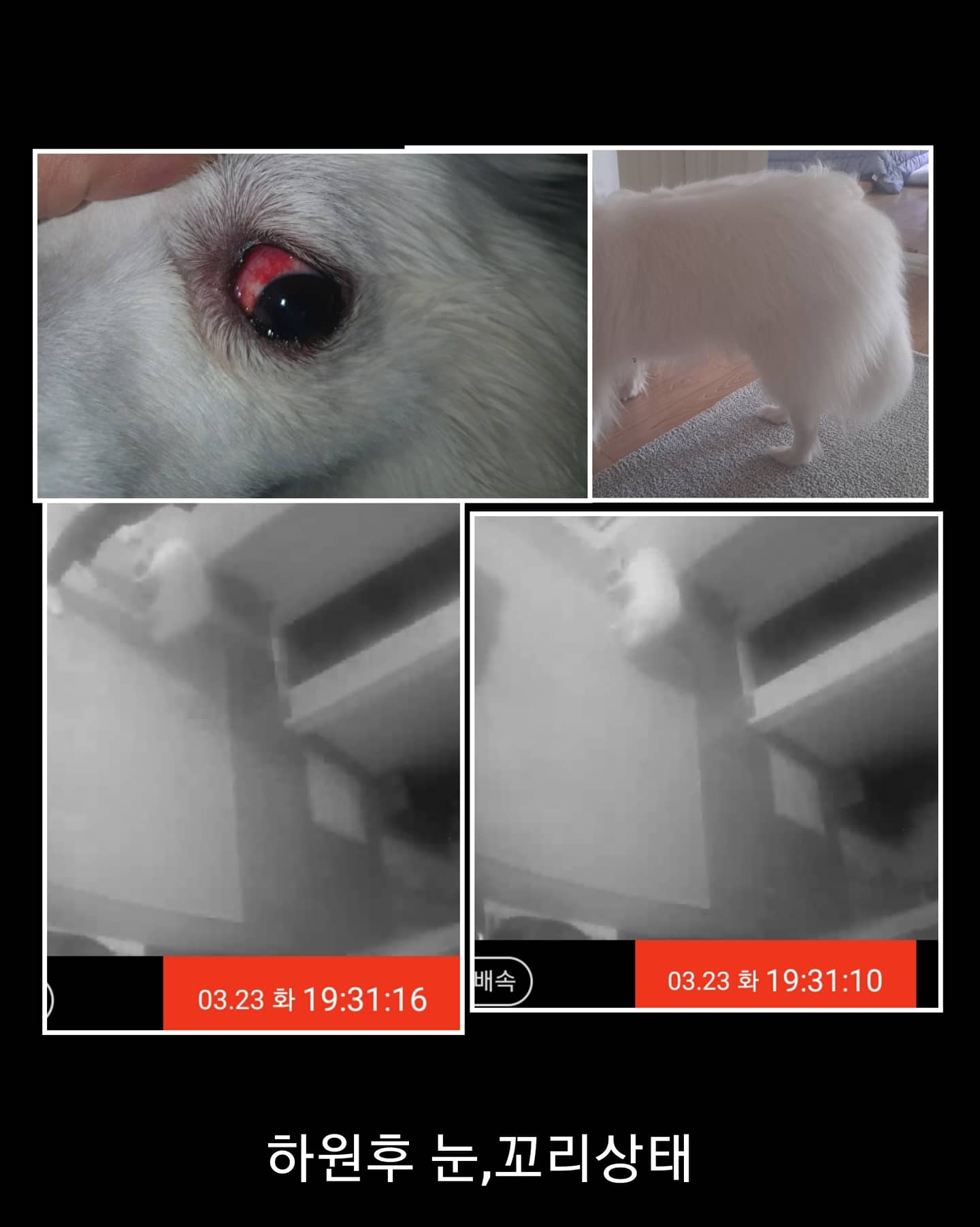 학대의심제보합니다