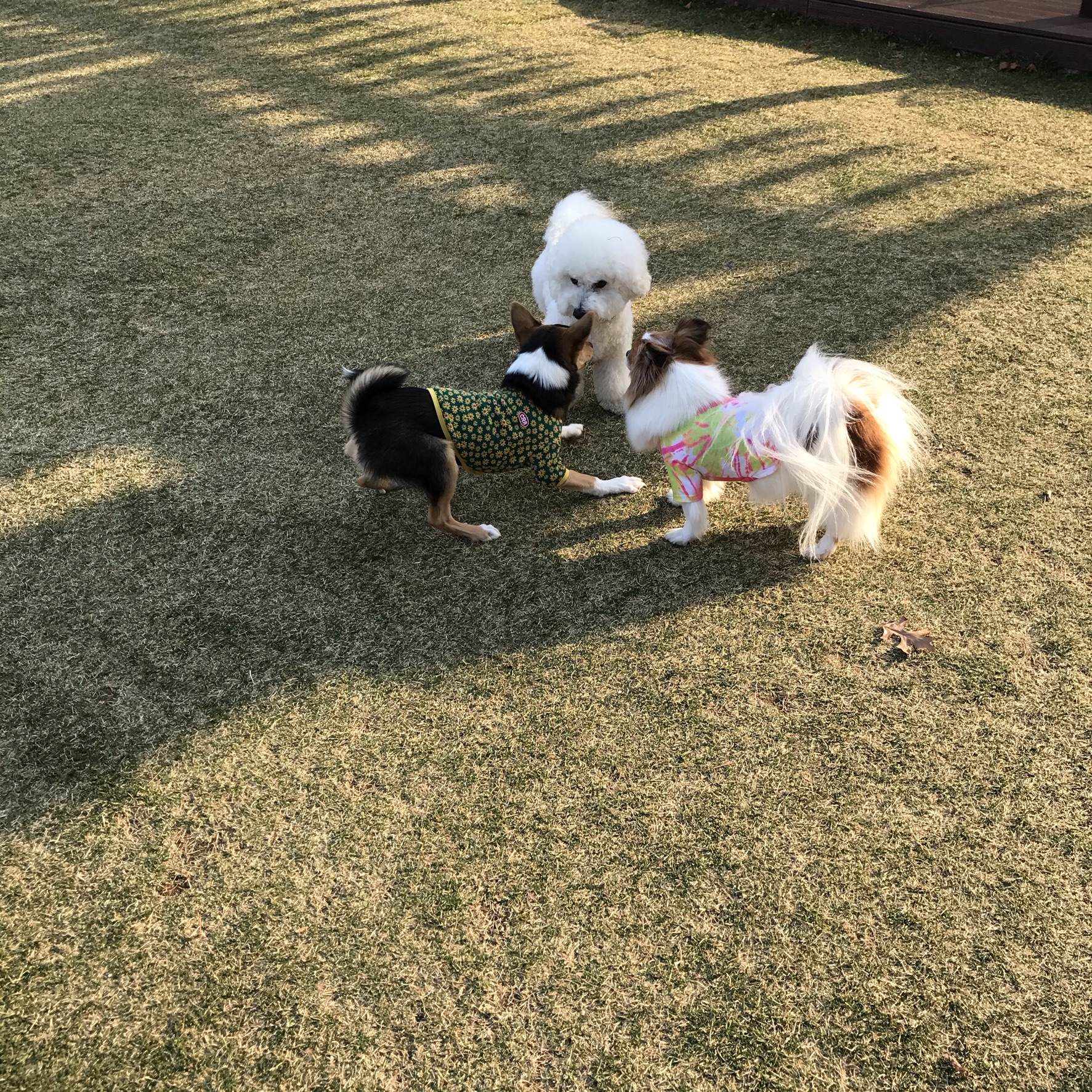 마레의 한달