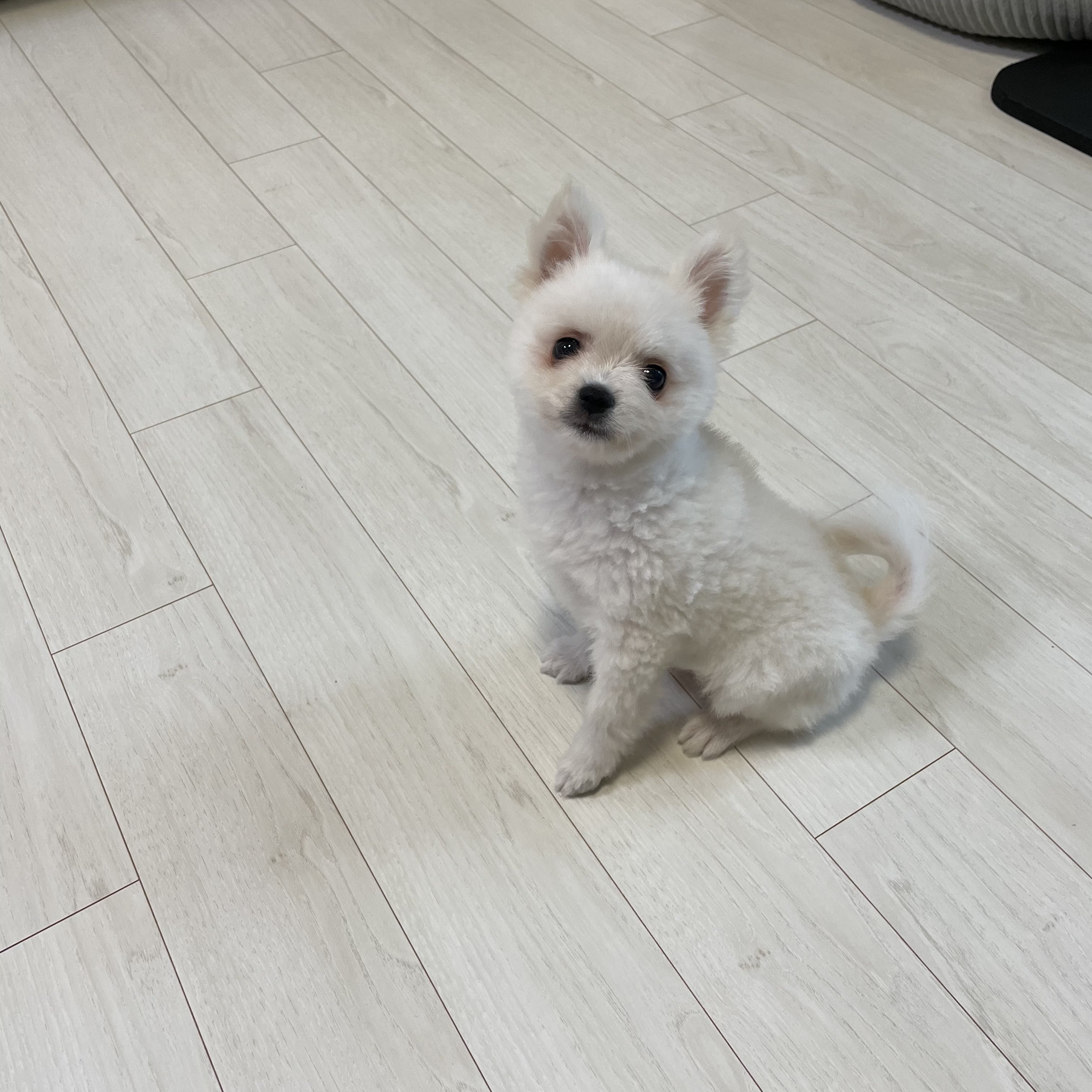 용식이(곤지암 송오)일주일 성장기