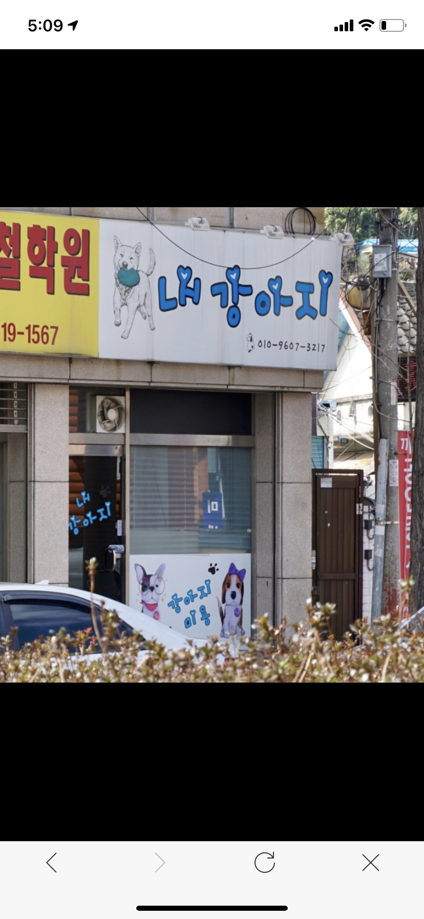 애견샵에 방치된 강아지들 구조해주세요 ㅜㅜ