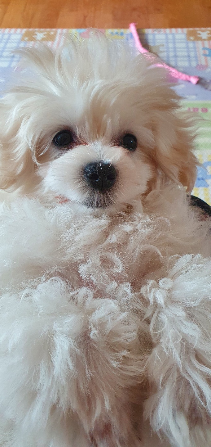 구름이 (곤지암 청일이)한달이나 지났어요