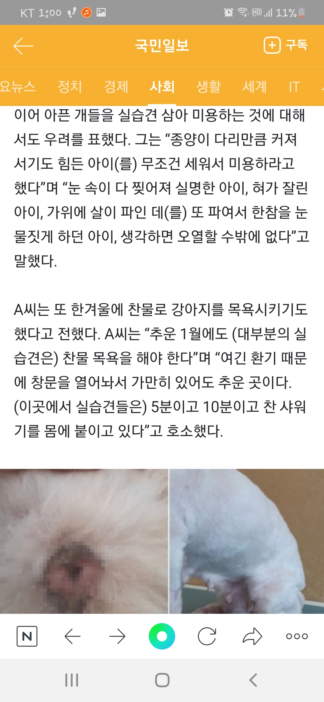범죄자 학원 애견미용학원