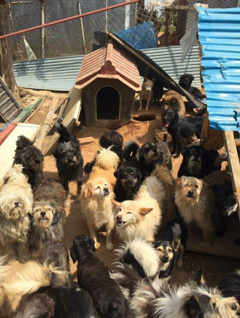 아산 천사원이 철거되며 아이들이 굶주리고 예민해져 서로 죽이고 다치고 있습니다.