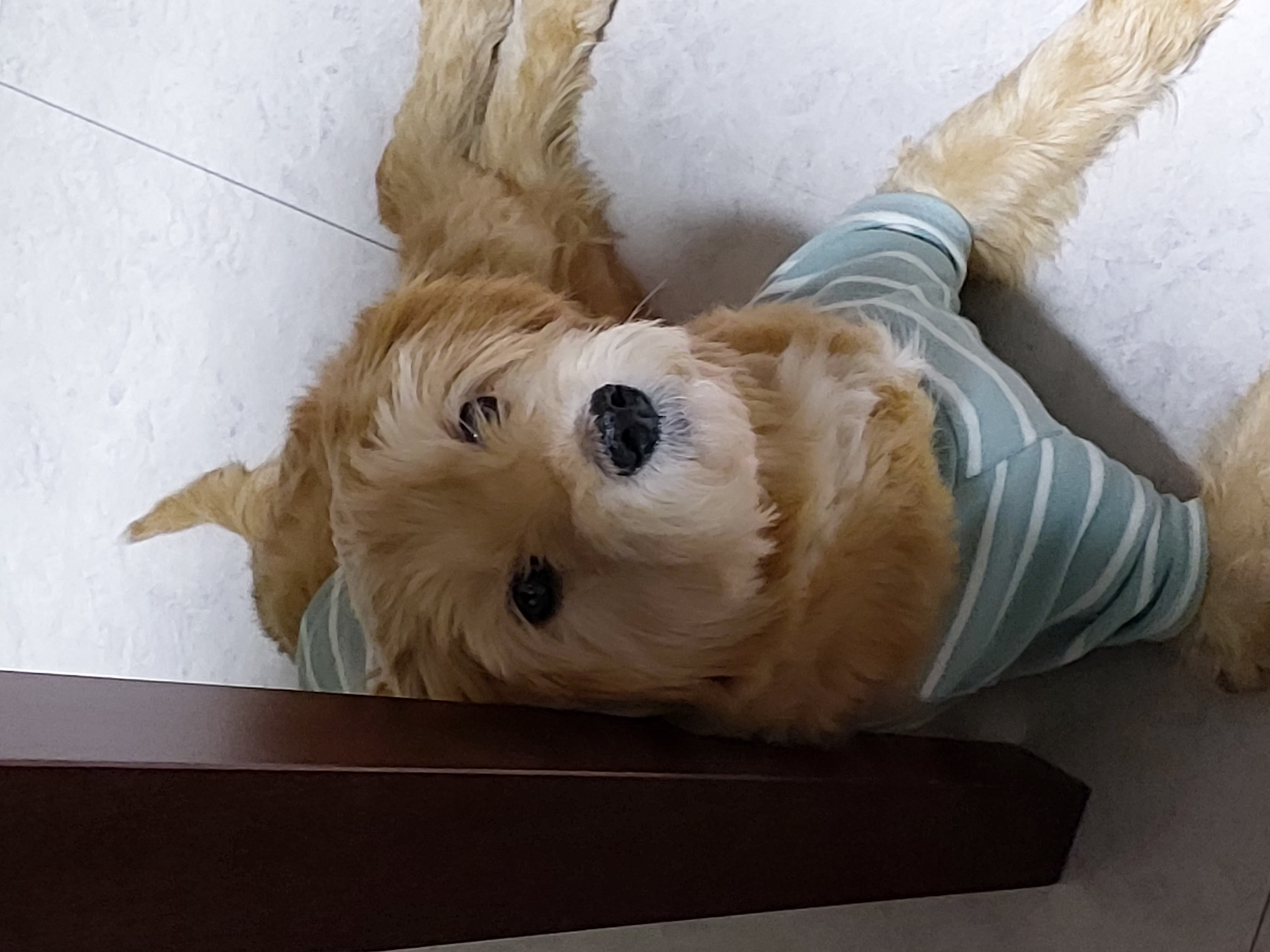 금동(은돌)