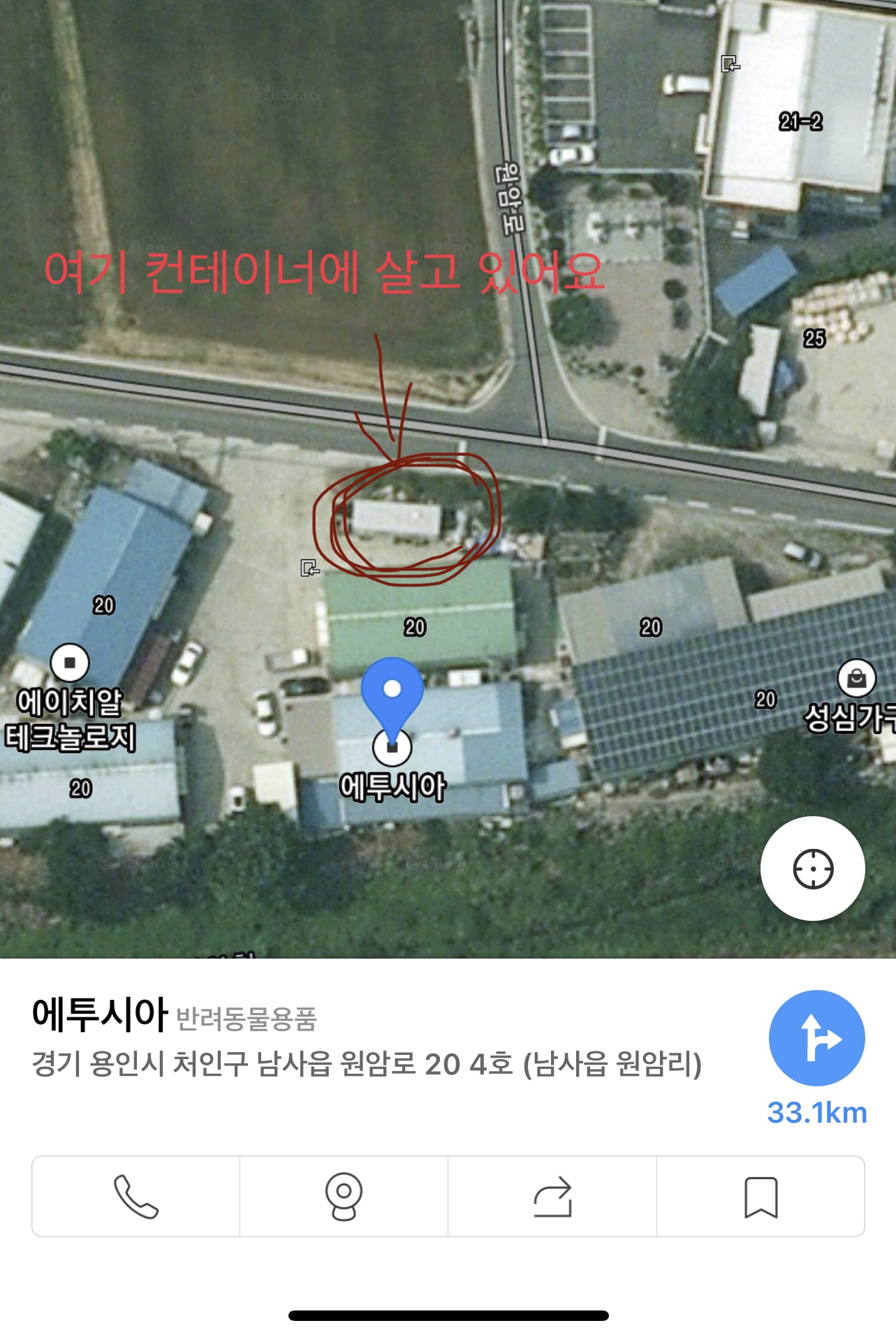 유기견 가족좀 도와주세요 ㅠㅠ