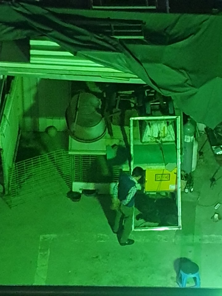저희 집 앞 열약한 환경에 큰개가 학대 당하고 있어요