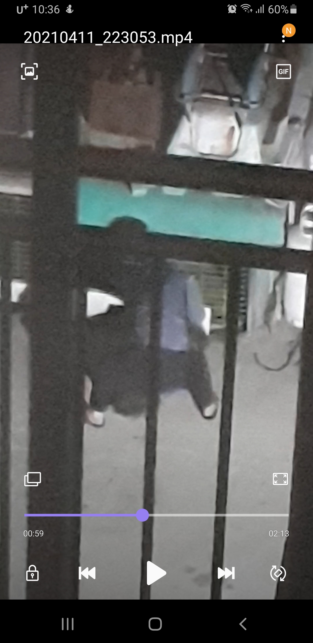 저희 집 앞 열약한 환경에 큰개가 학대 당하고 있어요
