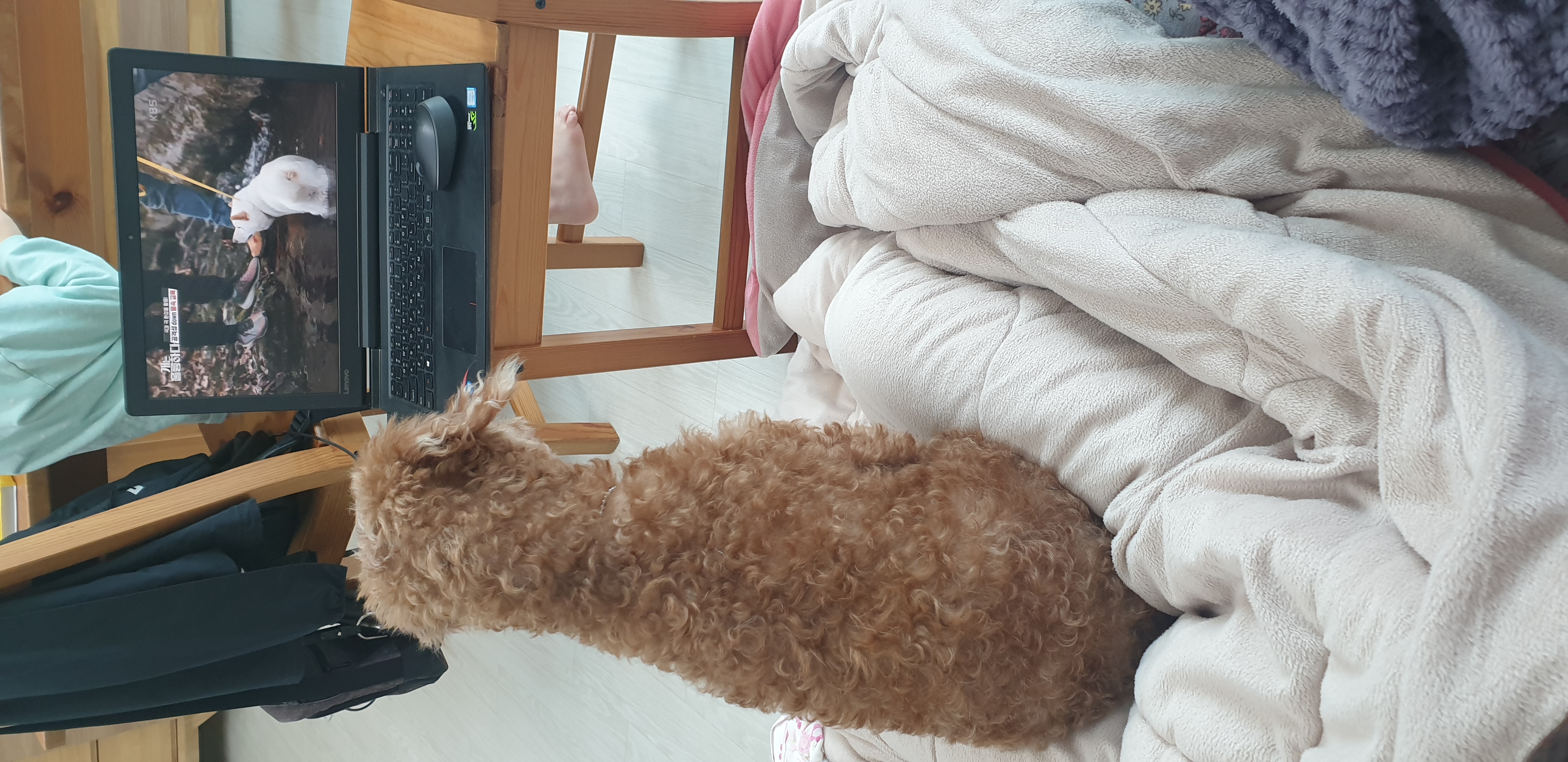 곤지암  군밤이 한달 후기