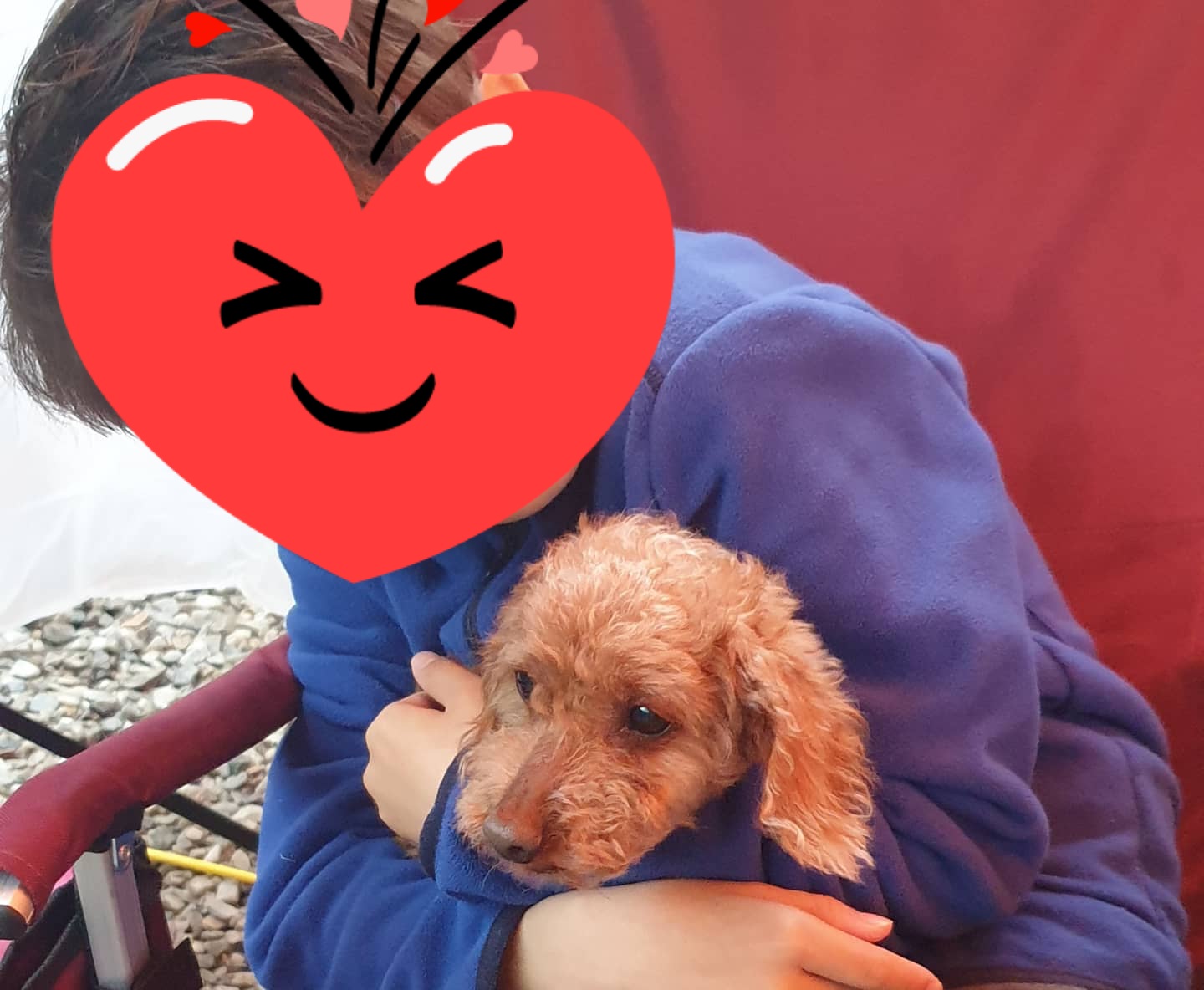 곤지암  군밤이 한달 후기