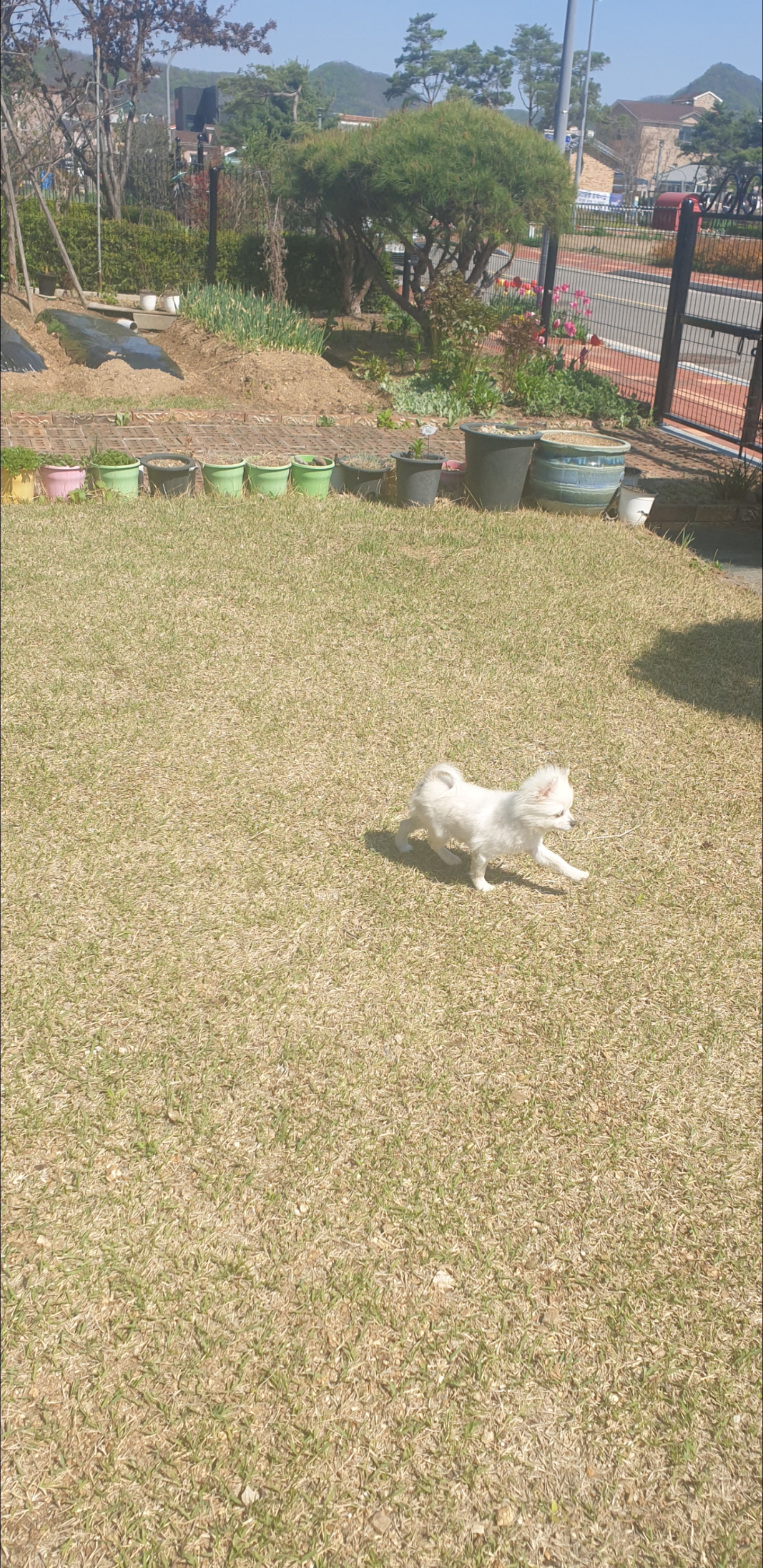 핑키에요~~^^한달차~