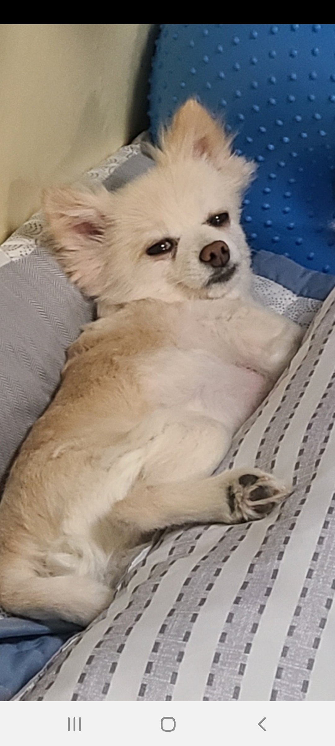 보배 한달차!