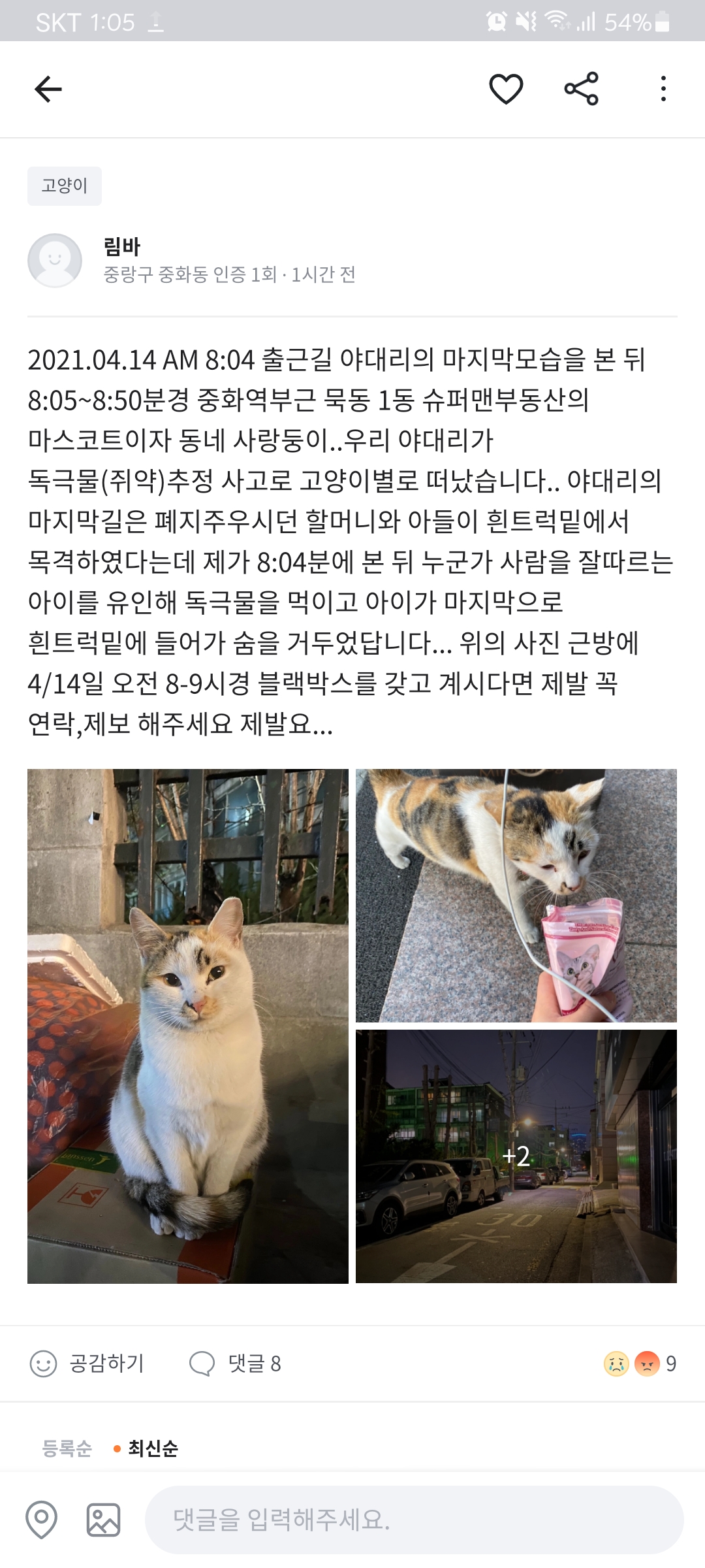 동네 사랑받던 고양이가 피토하고 죽었어요..