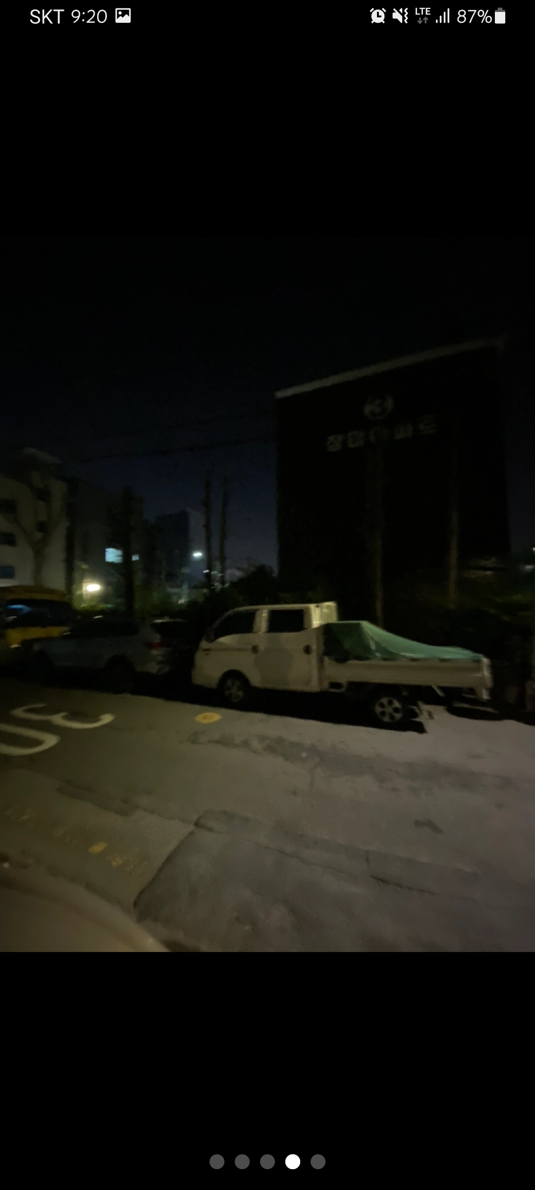 동네 사랑받던 고양이가 피토하고 죽었어요..