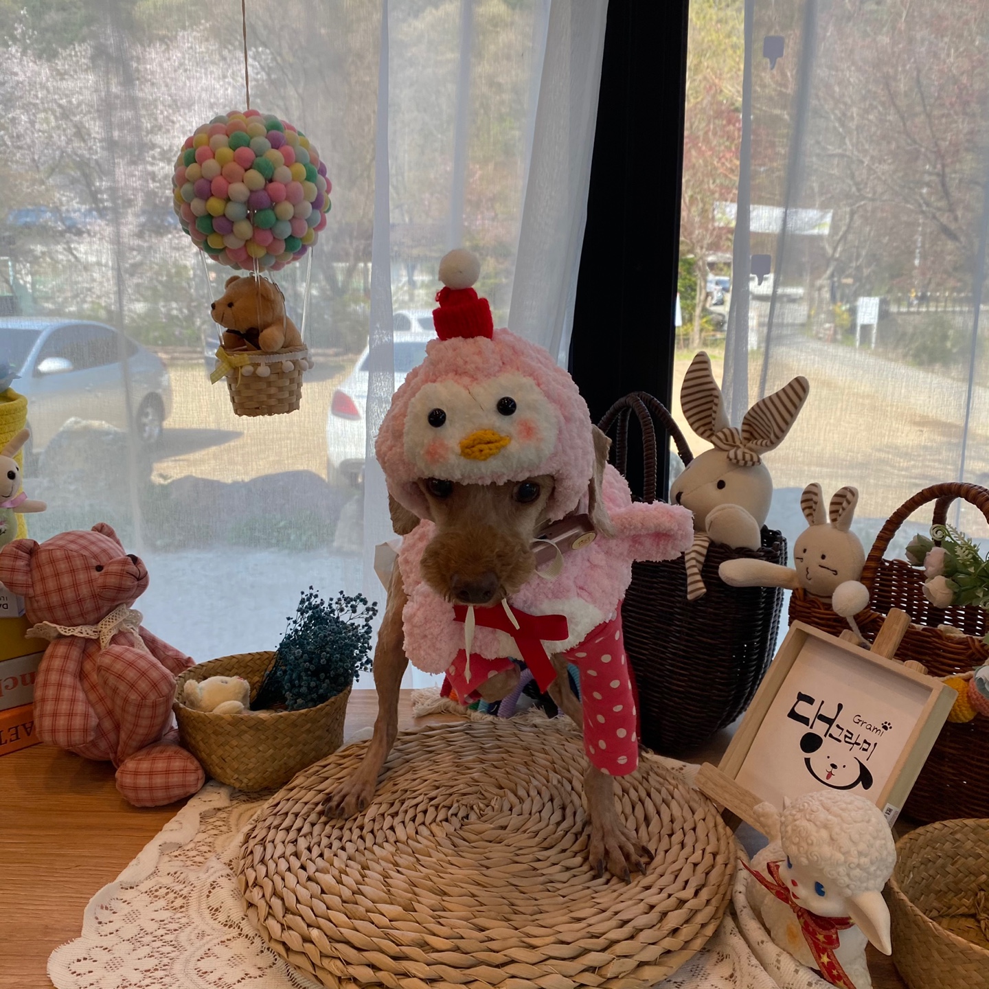 안녕하세요 곤지암 밤송이  소식전해드려요