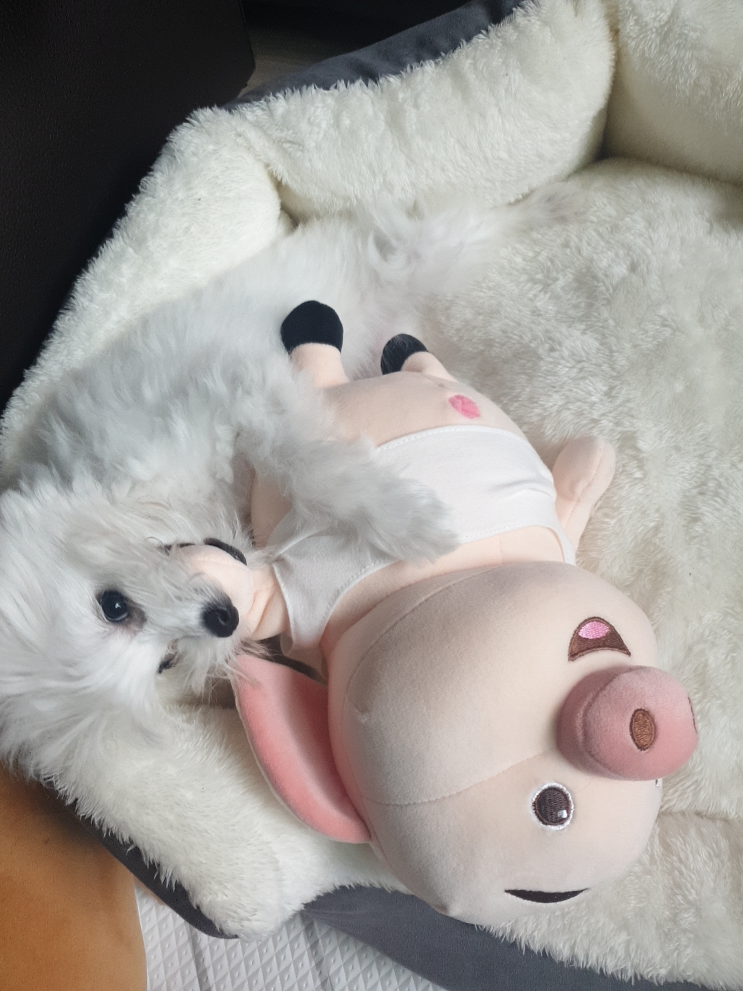 곤지암 그오(봄이) 2차(한달) 후기입니다~!