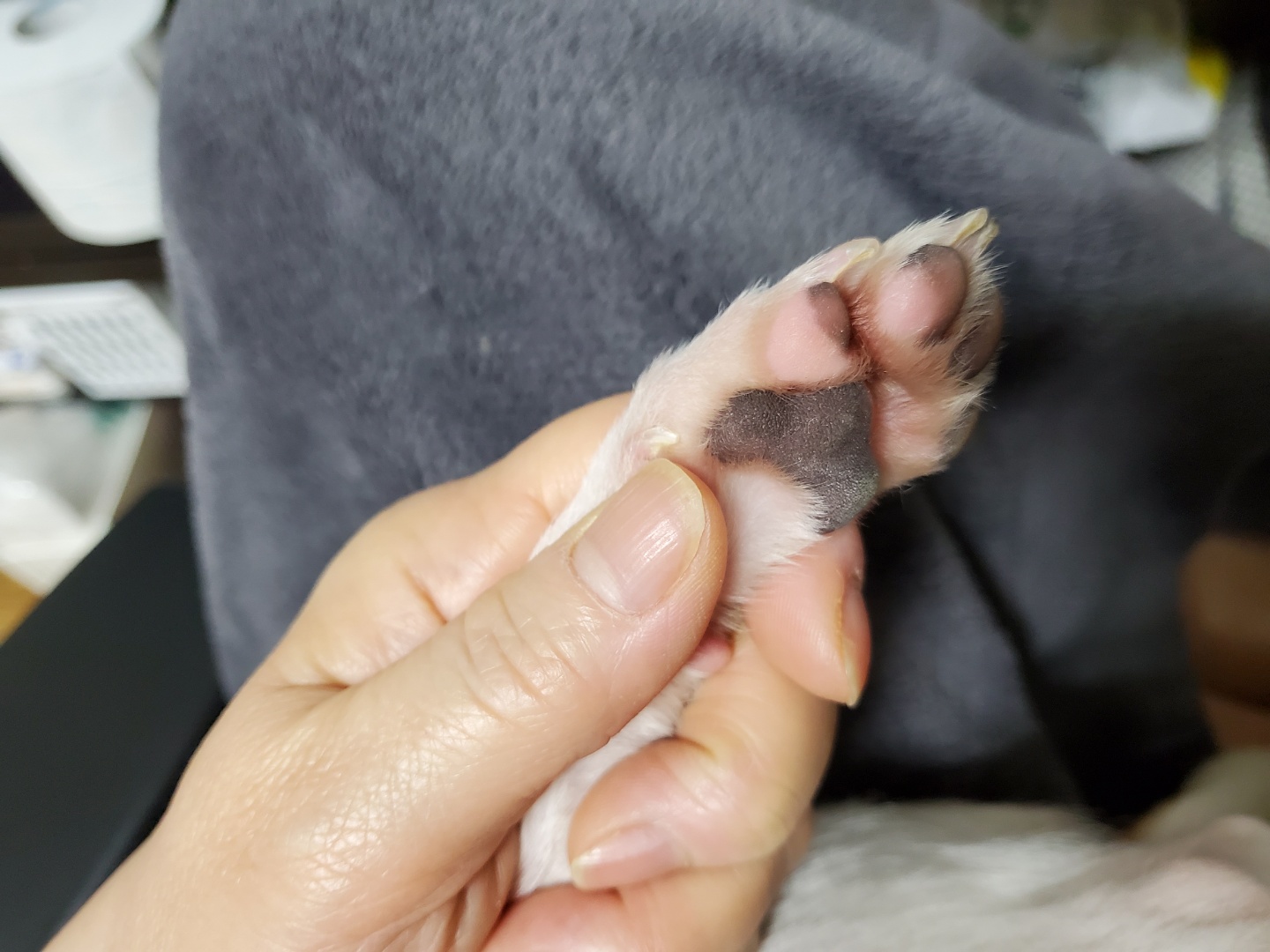 이랑이 한달 후기