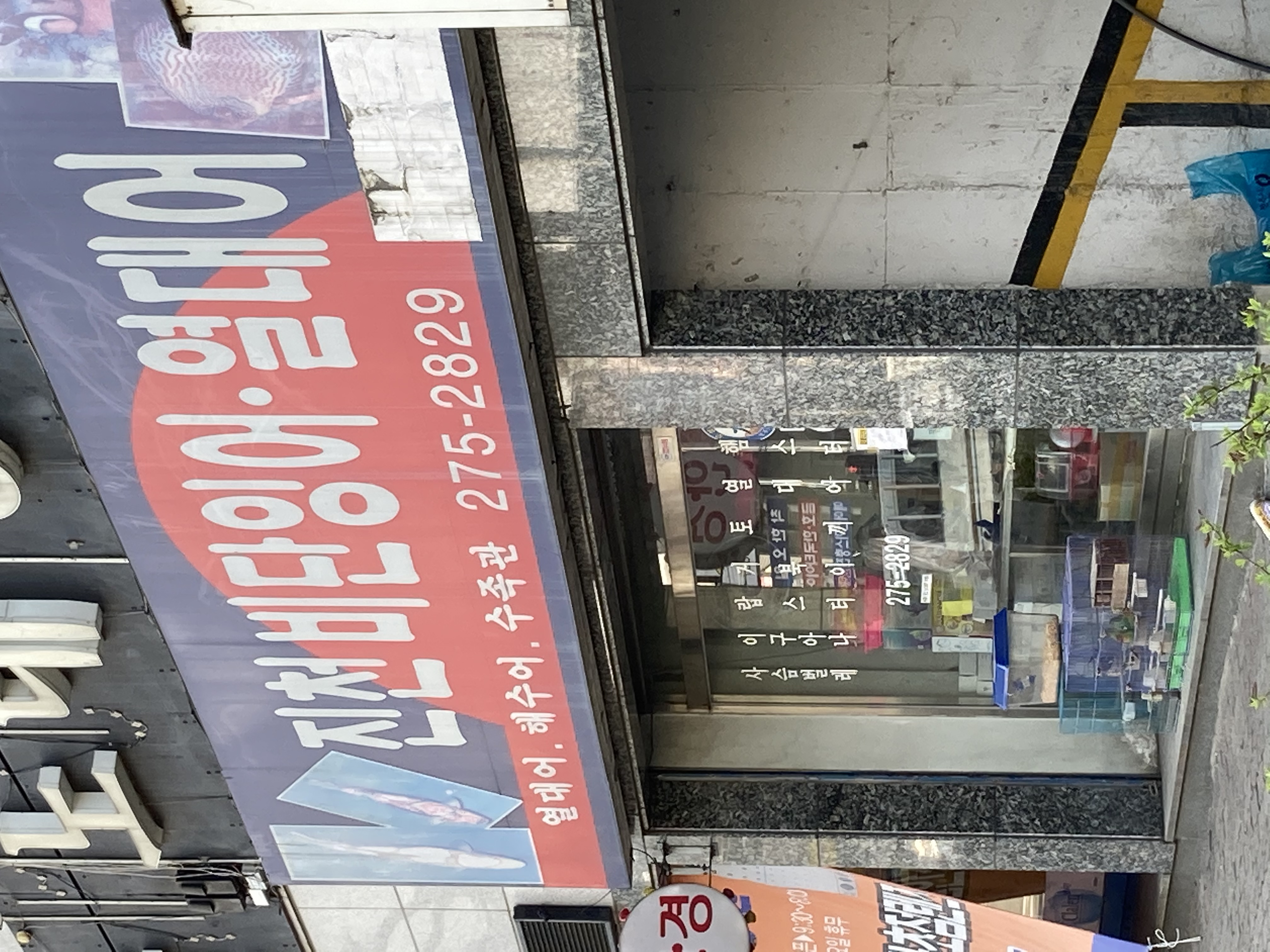 앵무새 방치 신고합니다.