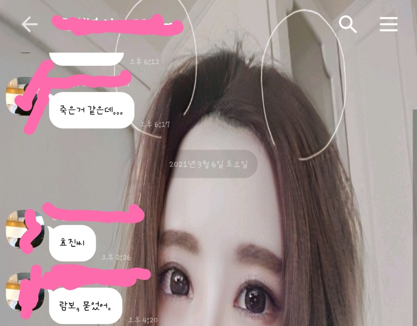 애니멀호더의 만행을 알리려고 합니다
