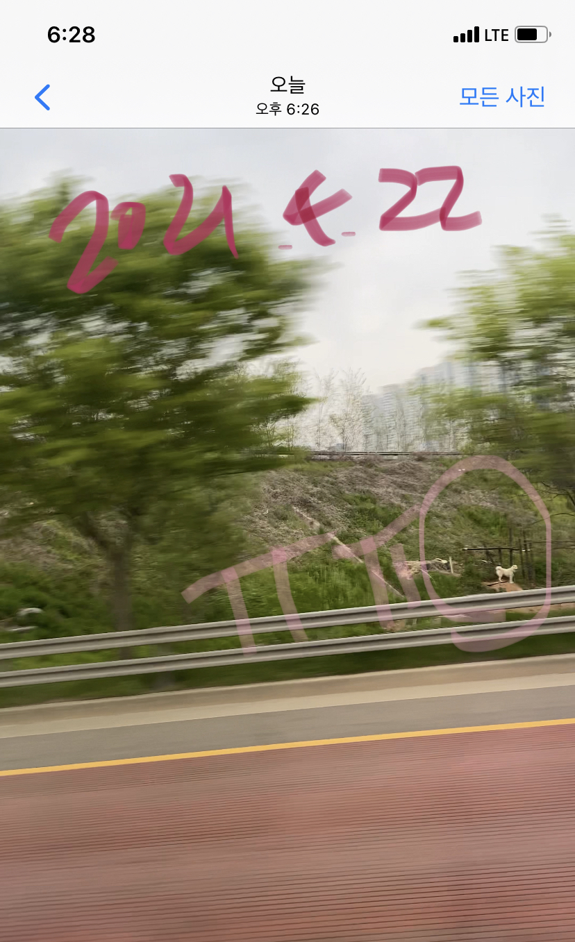 제2자유로 고속도로 옆에 몇일째 강아지 방치중입니다.