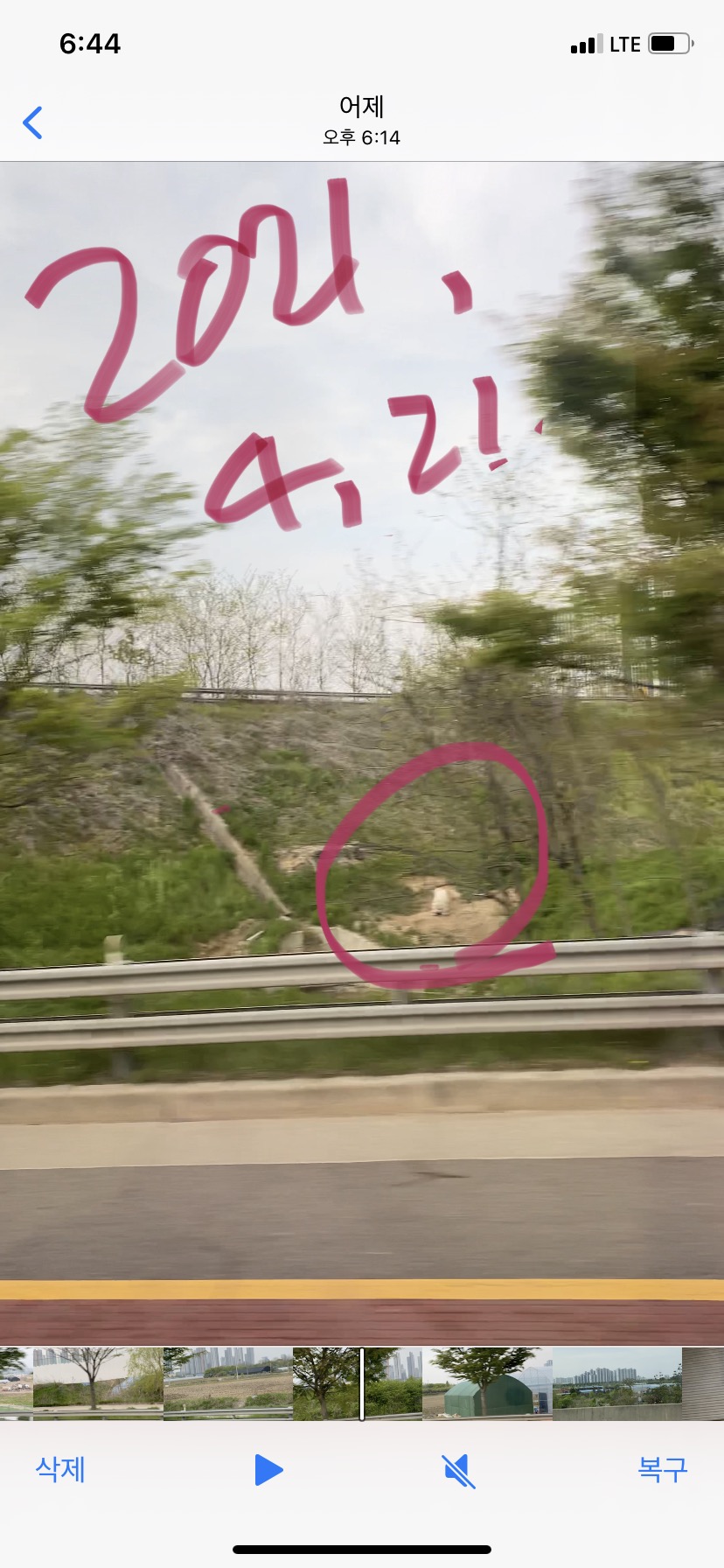 제2자유로 고속도로 옆 강아지 방치 신고 제보합니다.(사진추가)