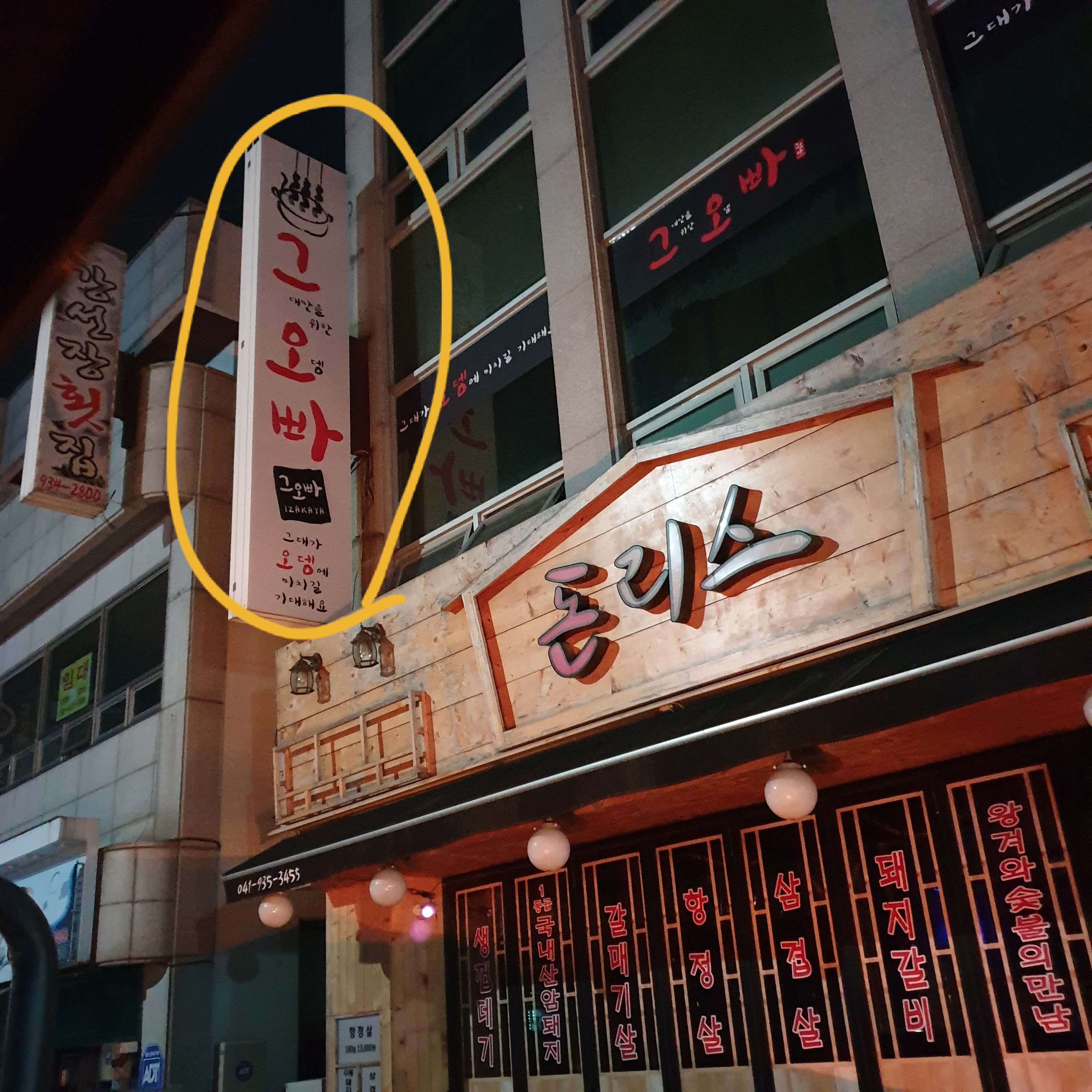 학대가 의심되는 강아지들 제보