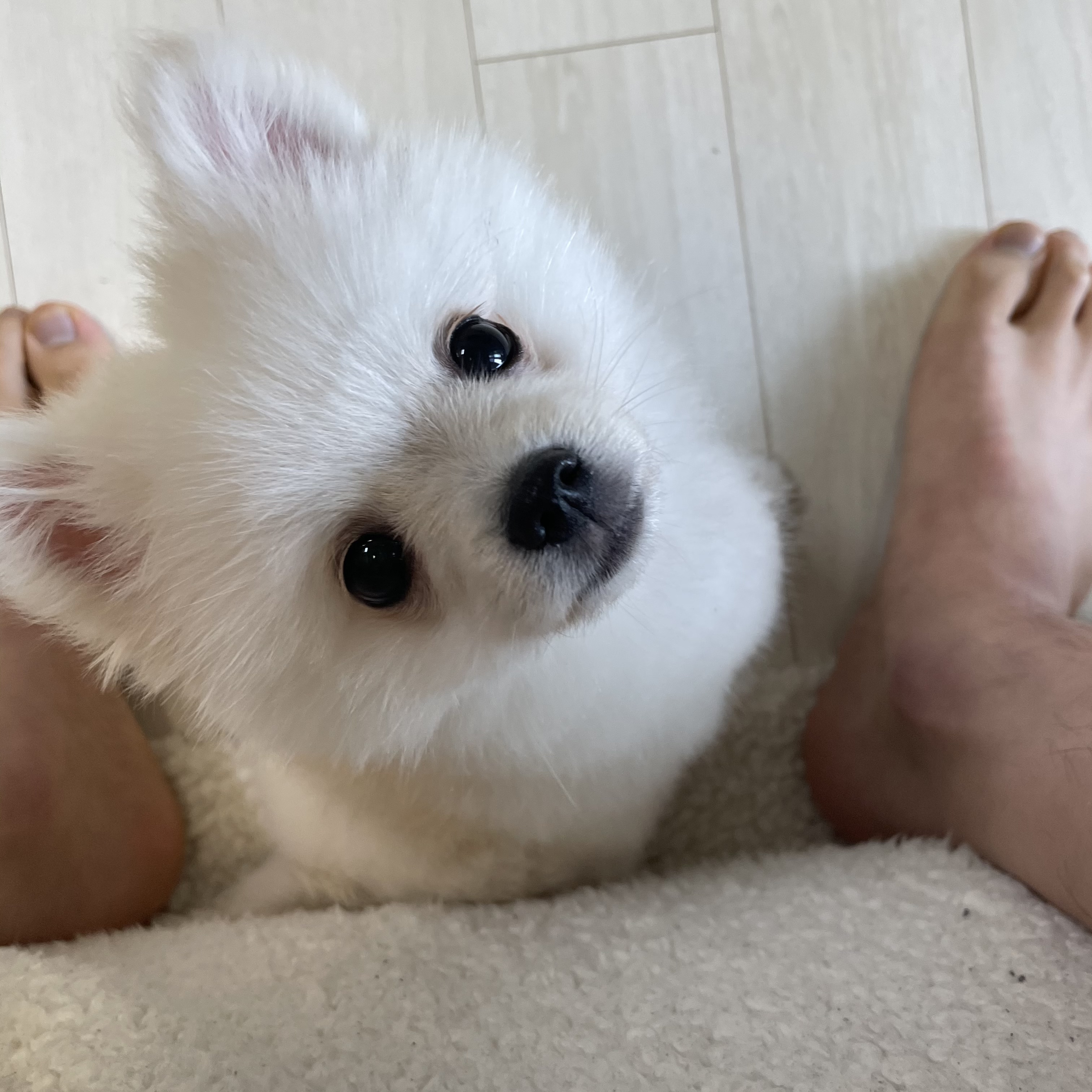 용식이(송오)한달후기