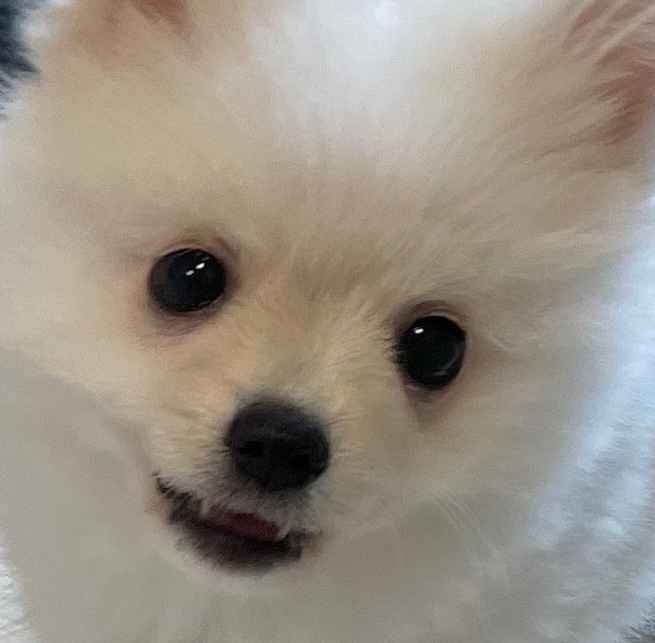 용식이(송오)한달후기
