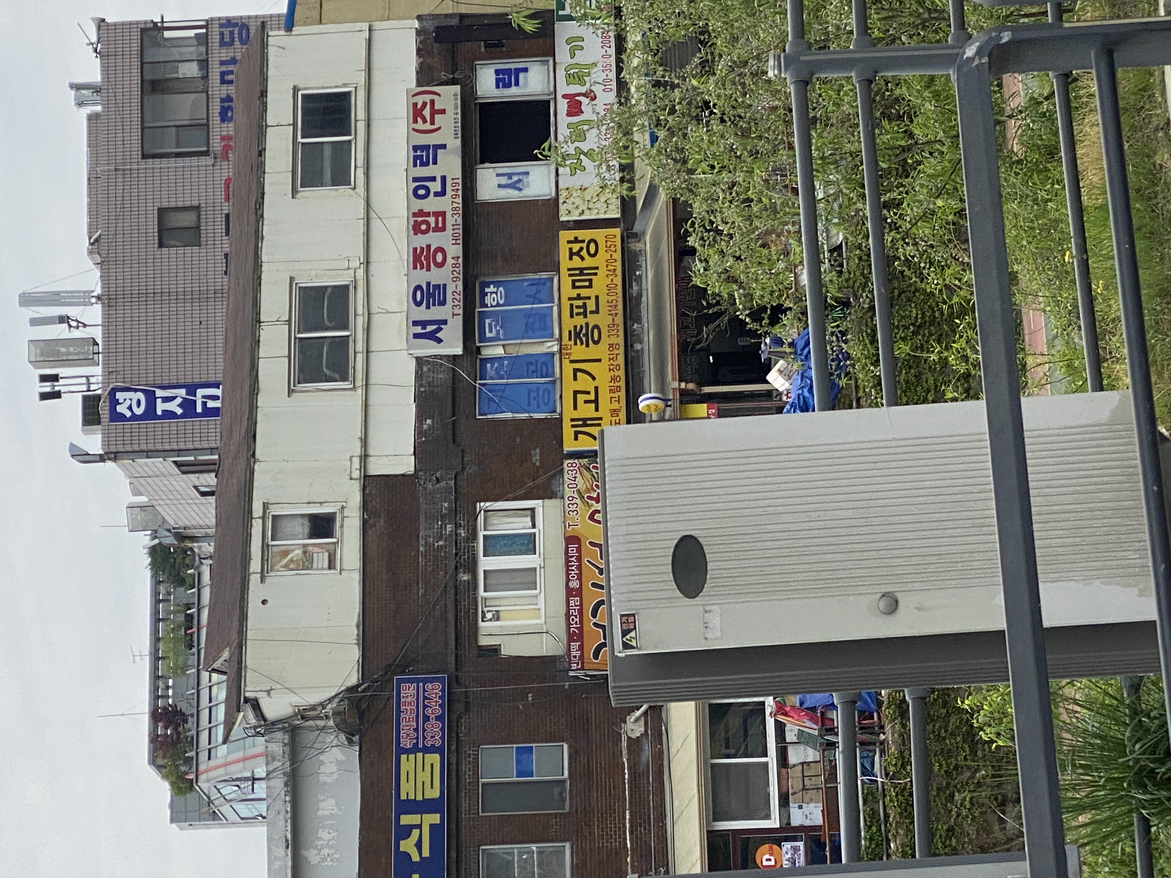 개고기총판매점