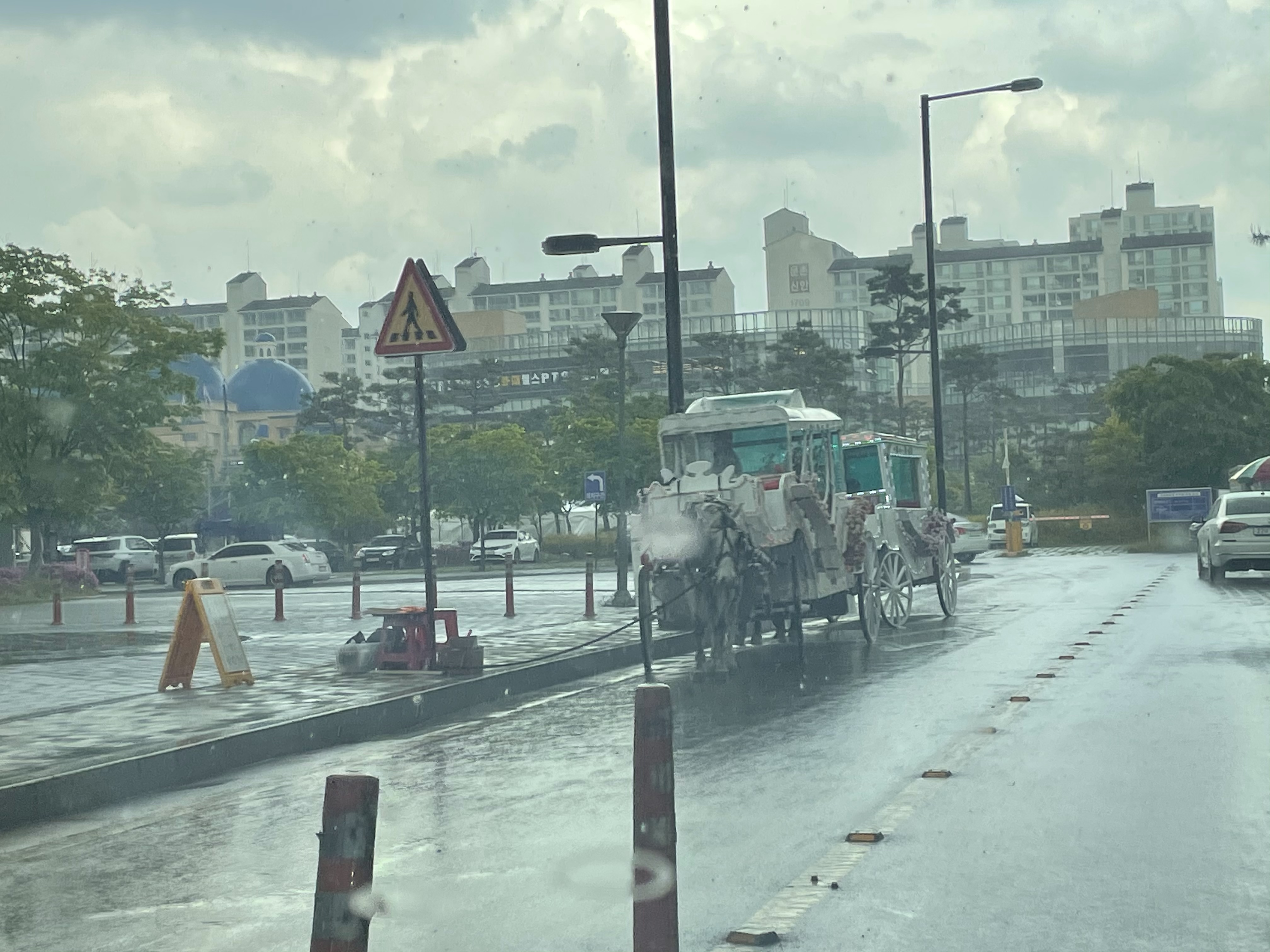 한화아쿠아플래닛 주차장 옆 말마차를 신고합니다