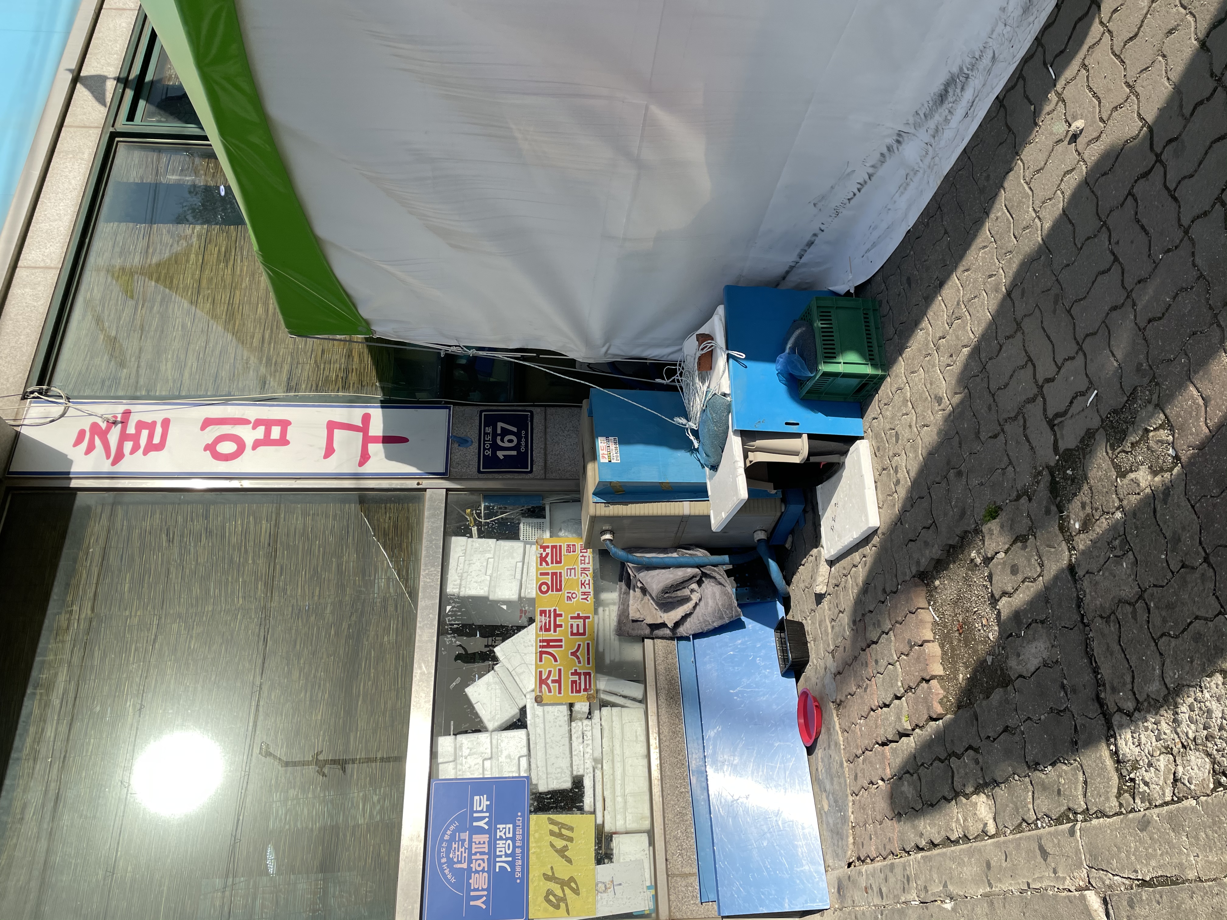 오이도수산시장 a동 앞에 얼굴이 함몰된 고양이 좀 구해주세요 ㅠㅠ