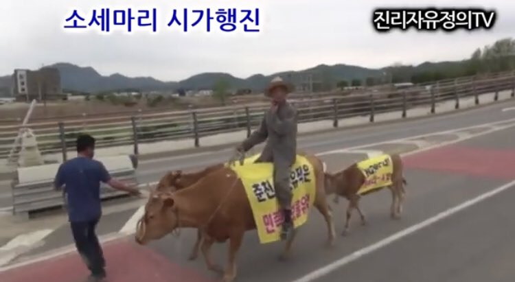 소를 말처럼 타고 다니며 가두시위를 벌이는 인간말종들의 엽기적 만행을 막아주시기 바랍니다. 