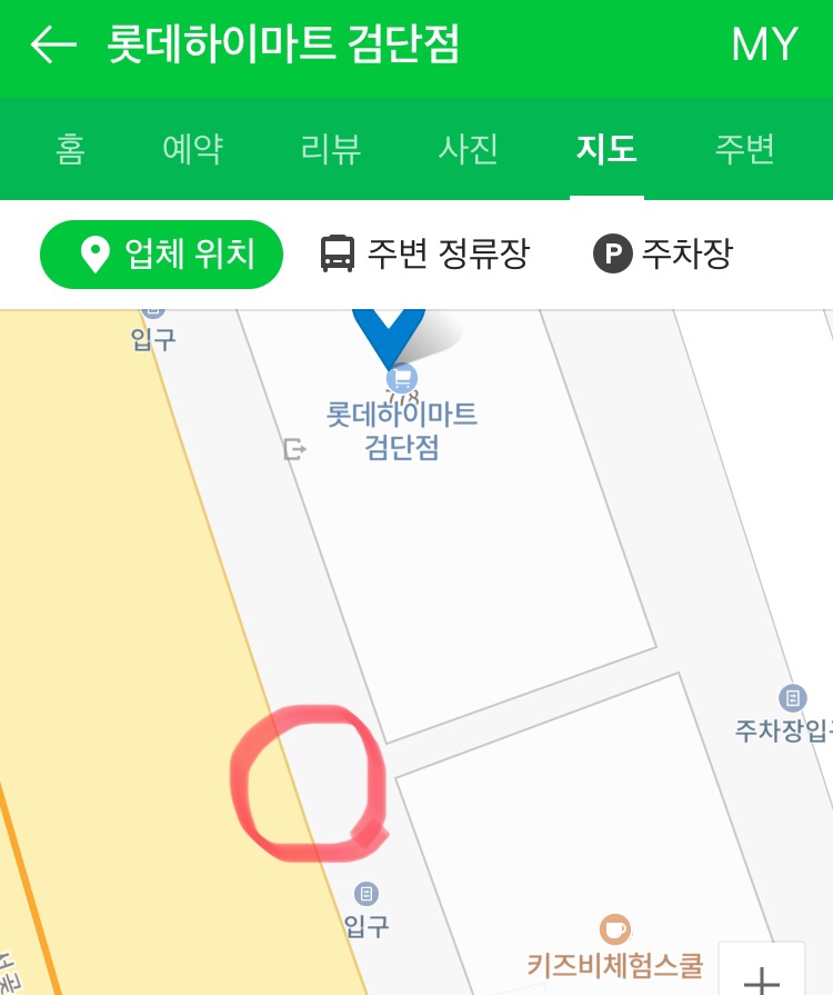 아기고양이 사체를 발견했습니다.