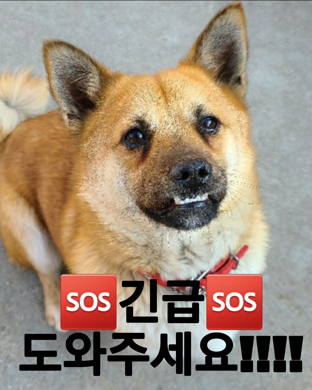 여쭈어봅니다