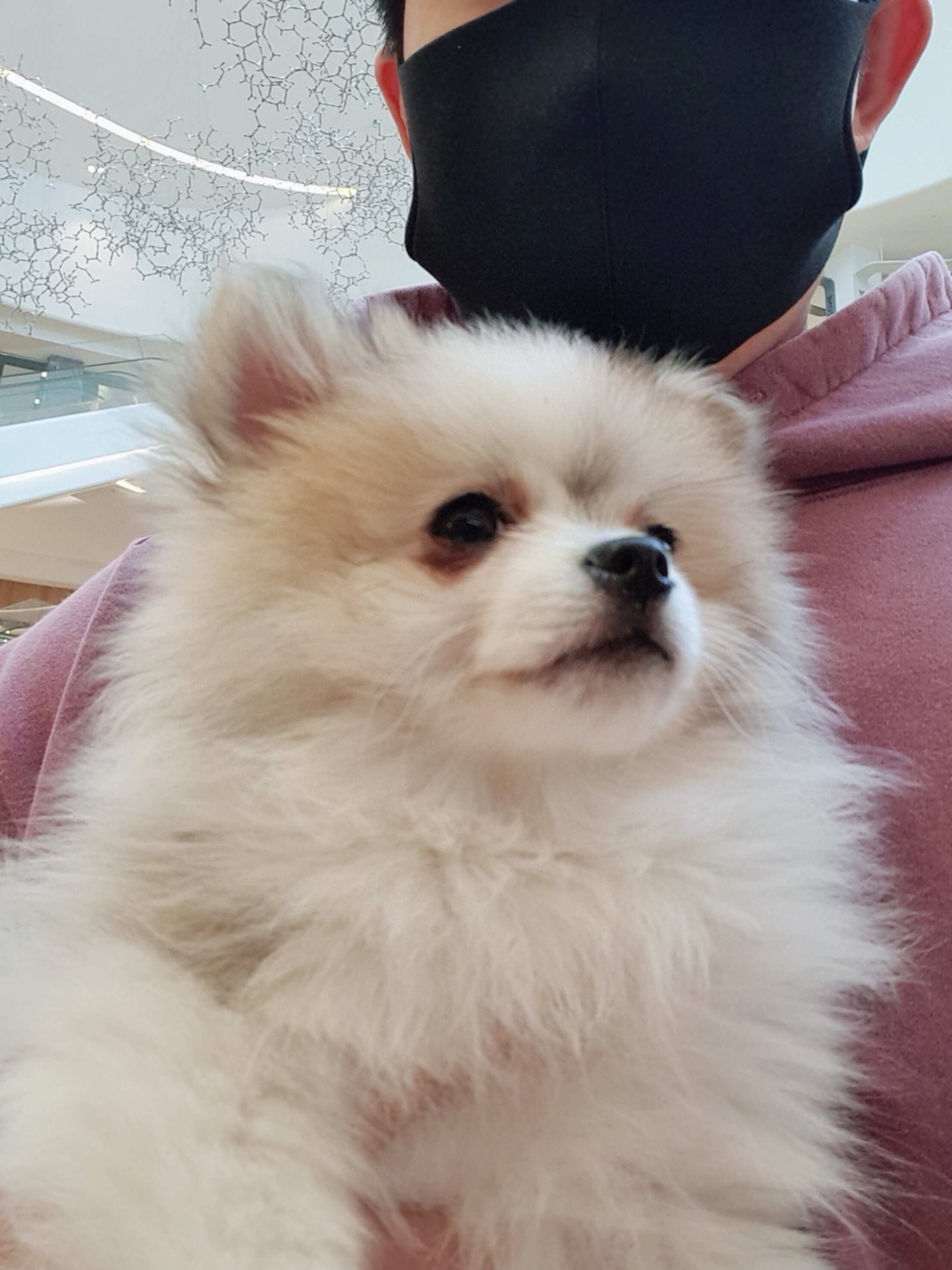 제리 입양 한달차 ! 