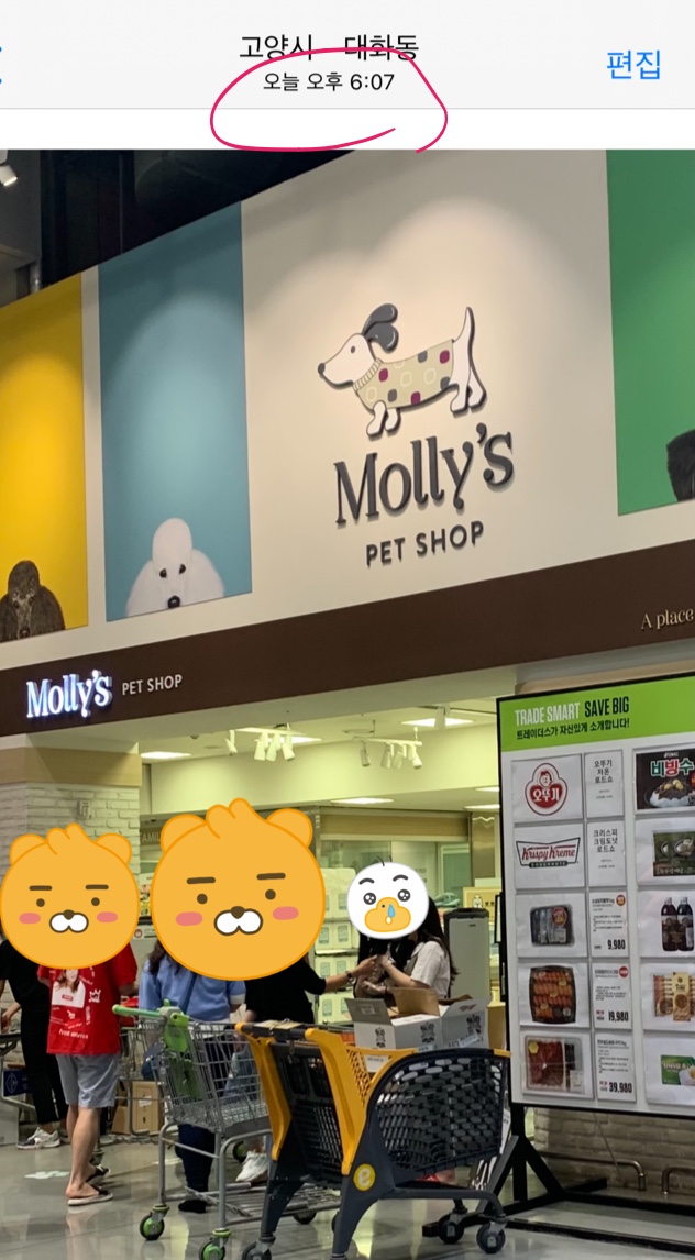 한달도 안되보이는 강아지를 물건처럼 홍보