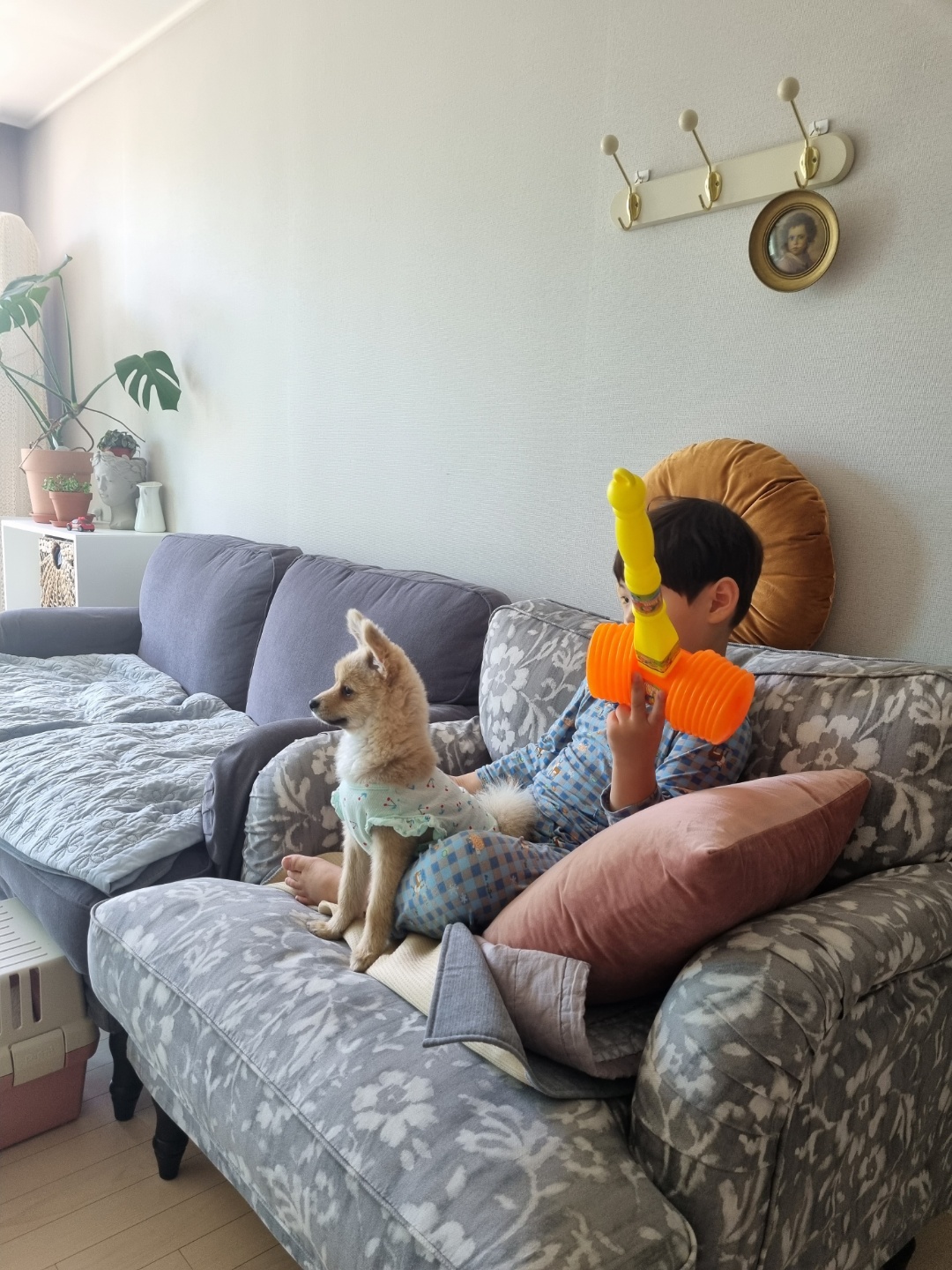 그일이(하트) 3개월후기