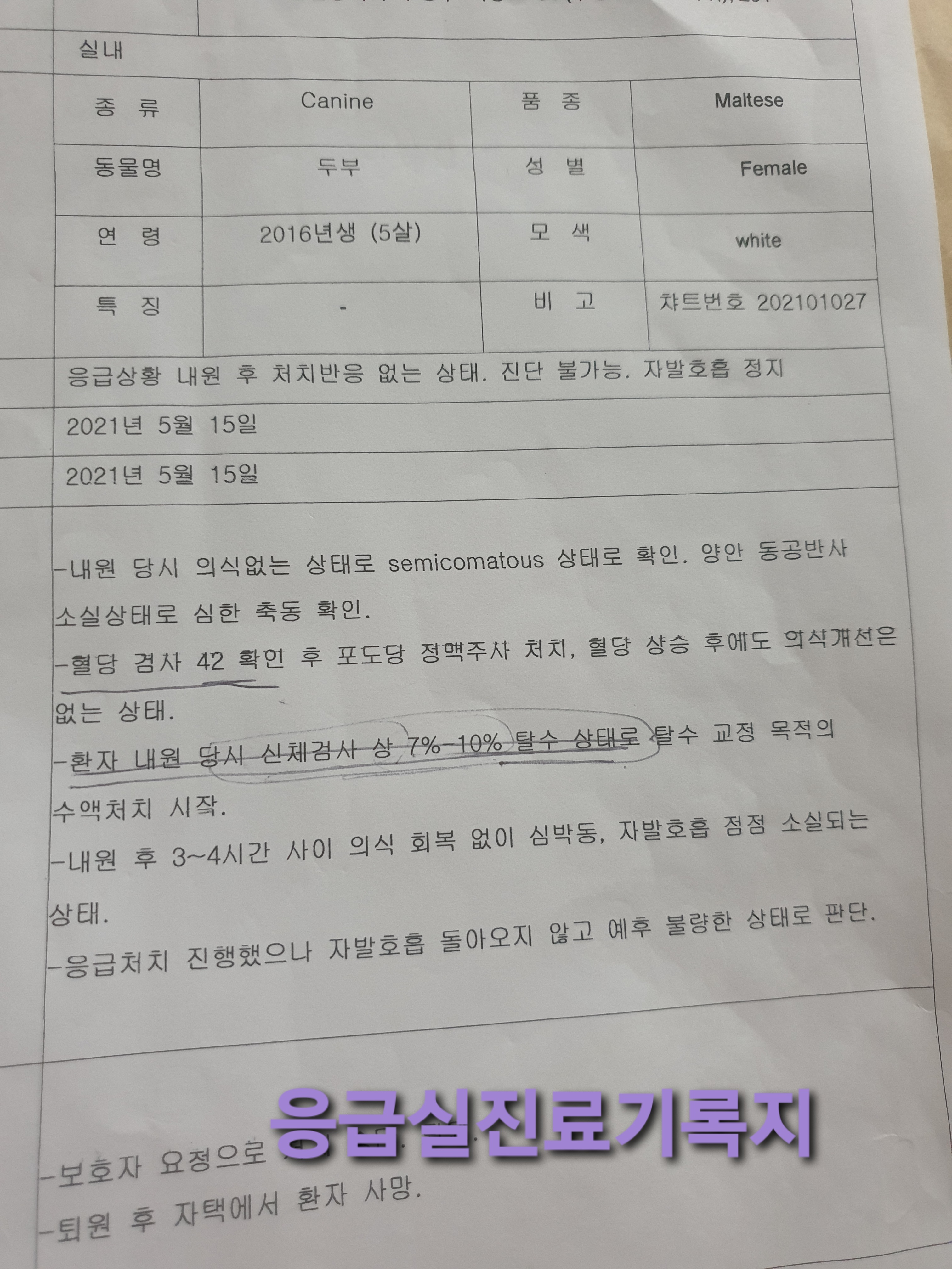 슬개골수술후입원중 굶기고 물을안줘서 사망