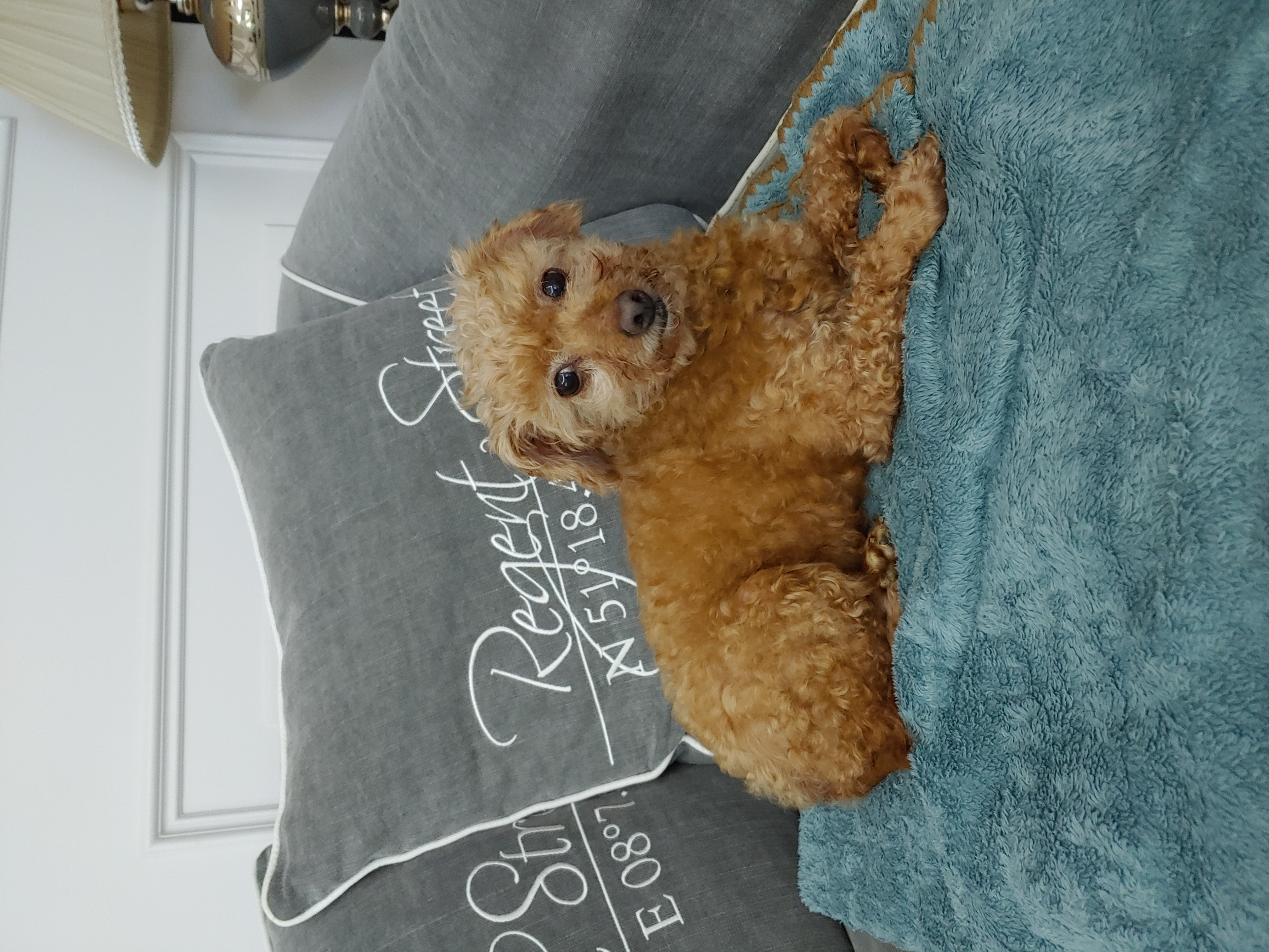팔랑이~~(지금은  버디예요~~^^)   한달후기입니다~~~~