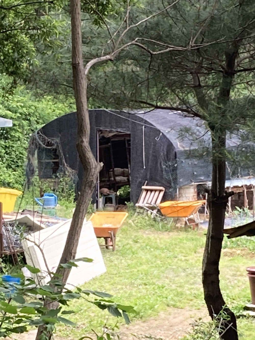 화성시 초록산 산림욕장 입구에 개농장이 있어요!!ㅠㅠㅠㅠ