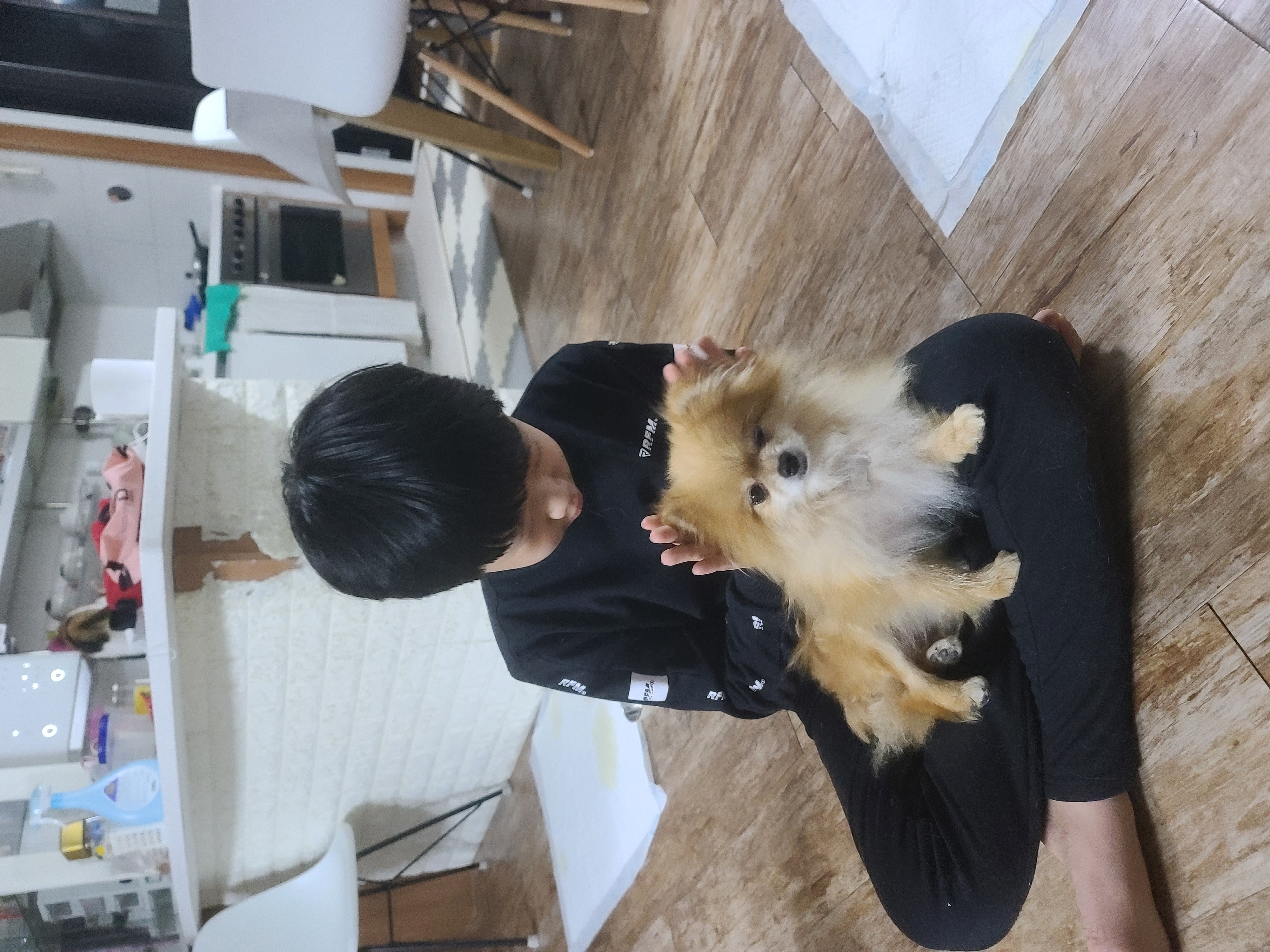 아호 (덕춘이)