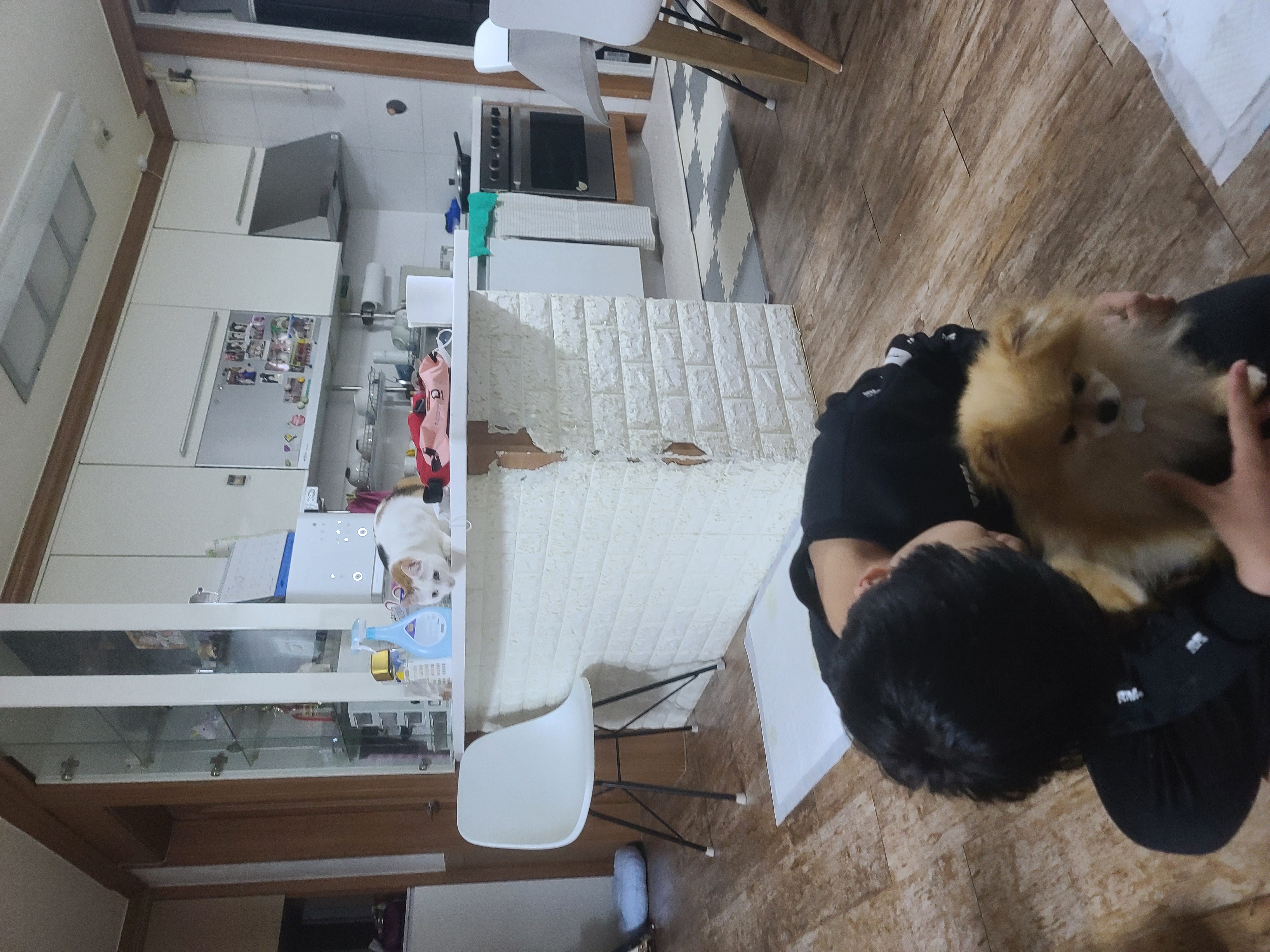 아호 (덕춘이)