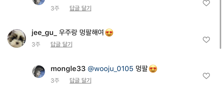 계속해서 2개월 아기강아지를 사오고2-3개월만에 파양/유기/실종되고있습니다