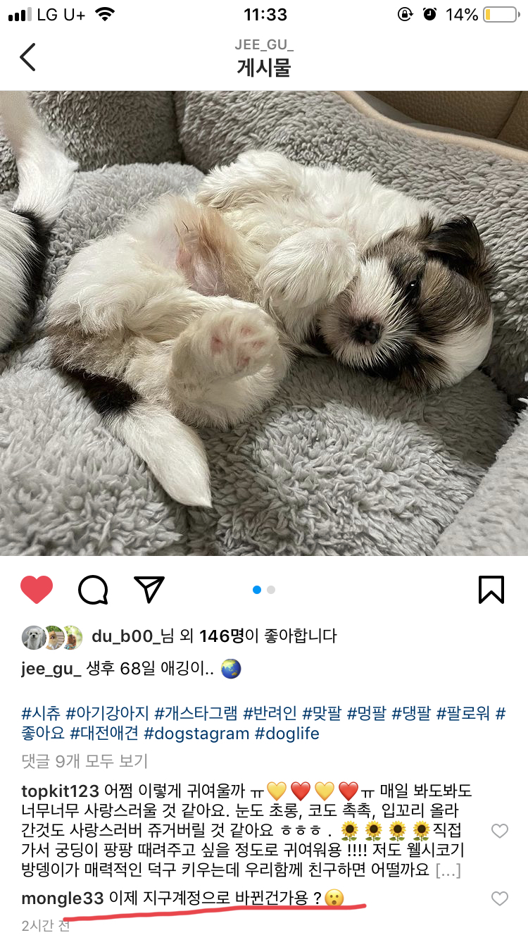 계속해서 2개월 아기강아지를 사오고2-3개월만에 파양/유기/실종되고있습니다