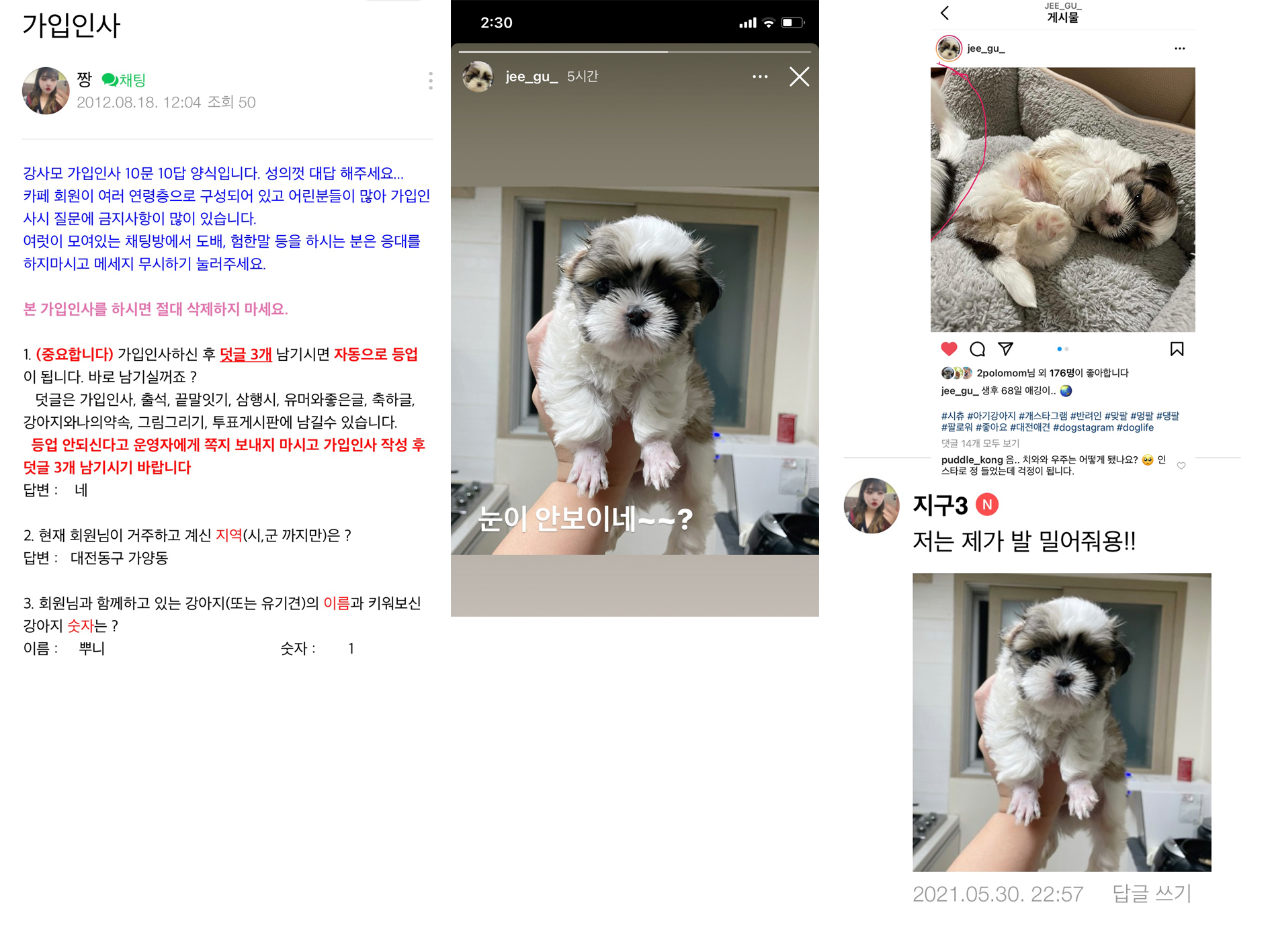 수년 간 강아지를 사고 제대로 돌보지 않으며 파양을 번복하는 무책임한 애니멀호더