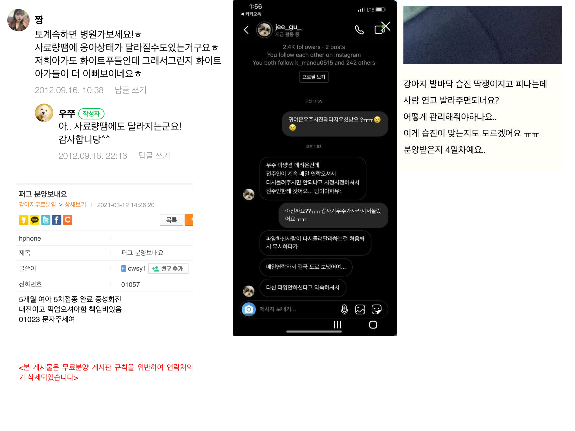 수년 간 강아지를 사고 제대로 돌보지 않으며 파양을 번복하는 무책임한 애니멀호더