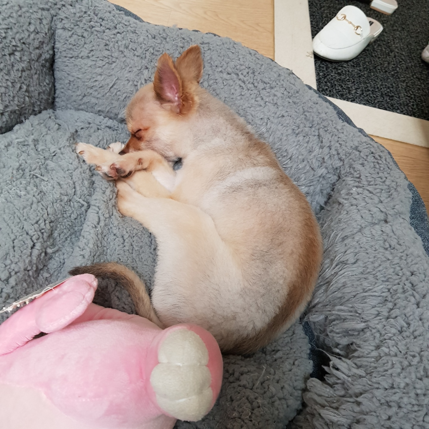 제티 !!