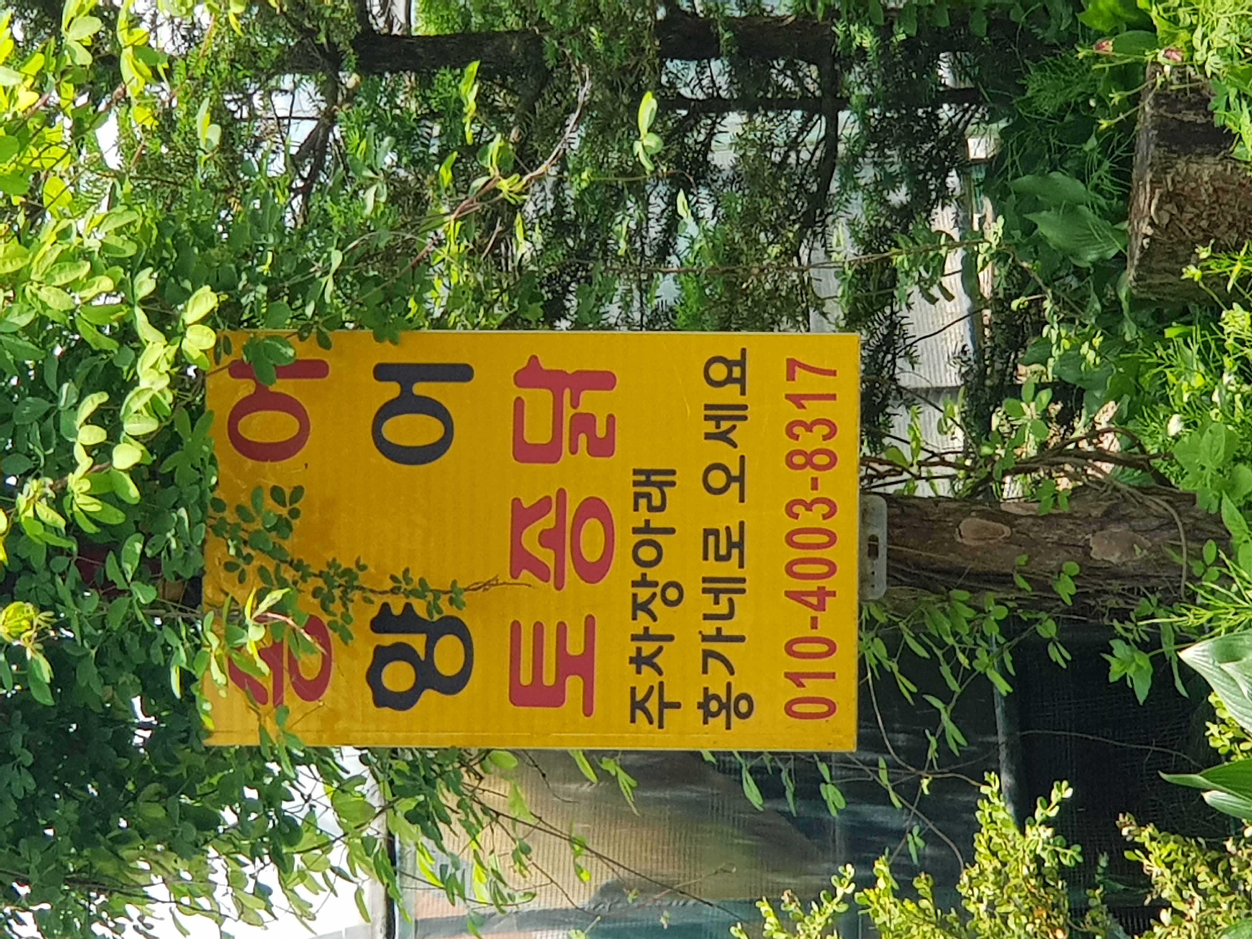 반려동물이 맞나 싶네요.