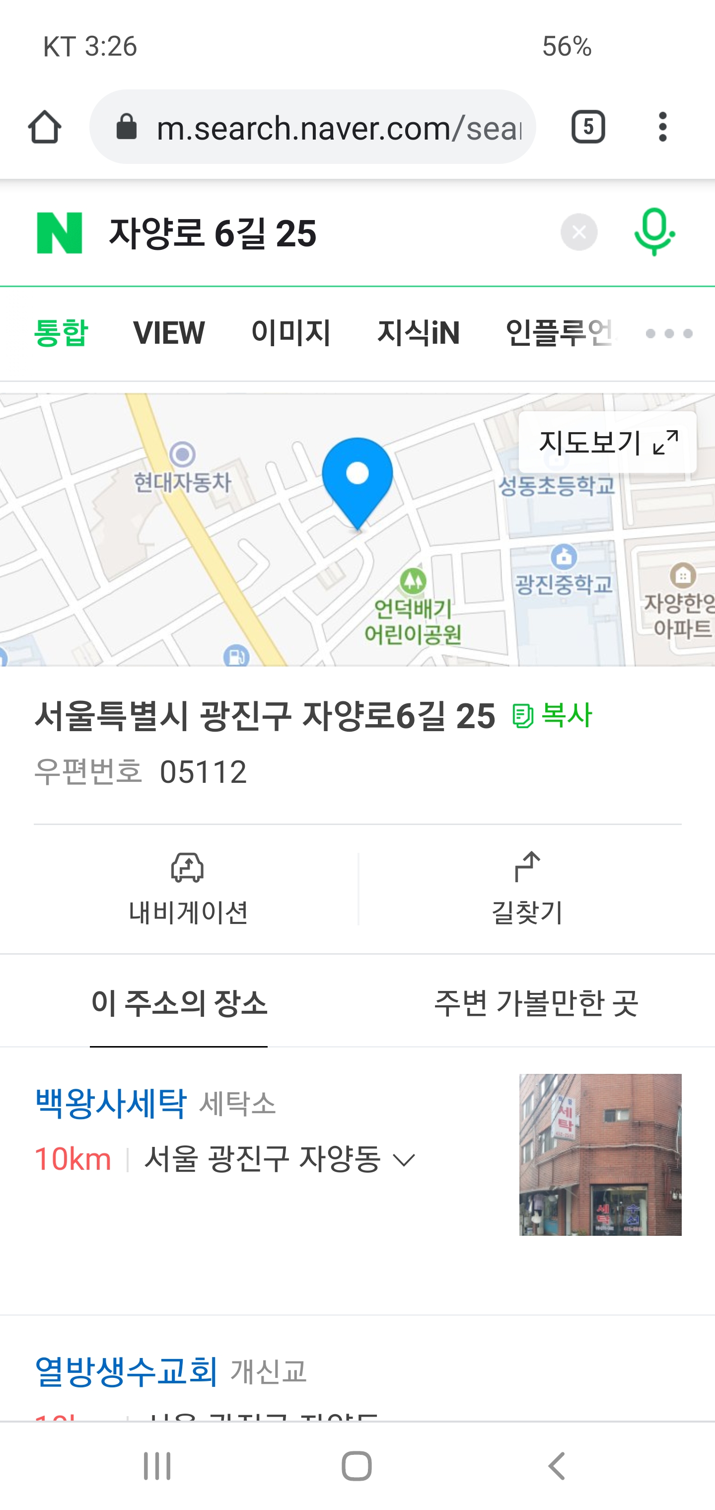고양이 학대. 영상 및 주소 있음