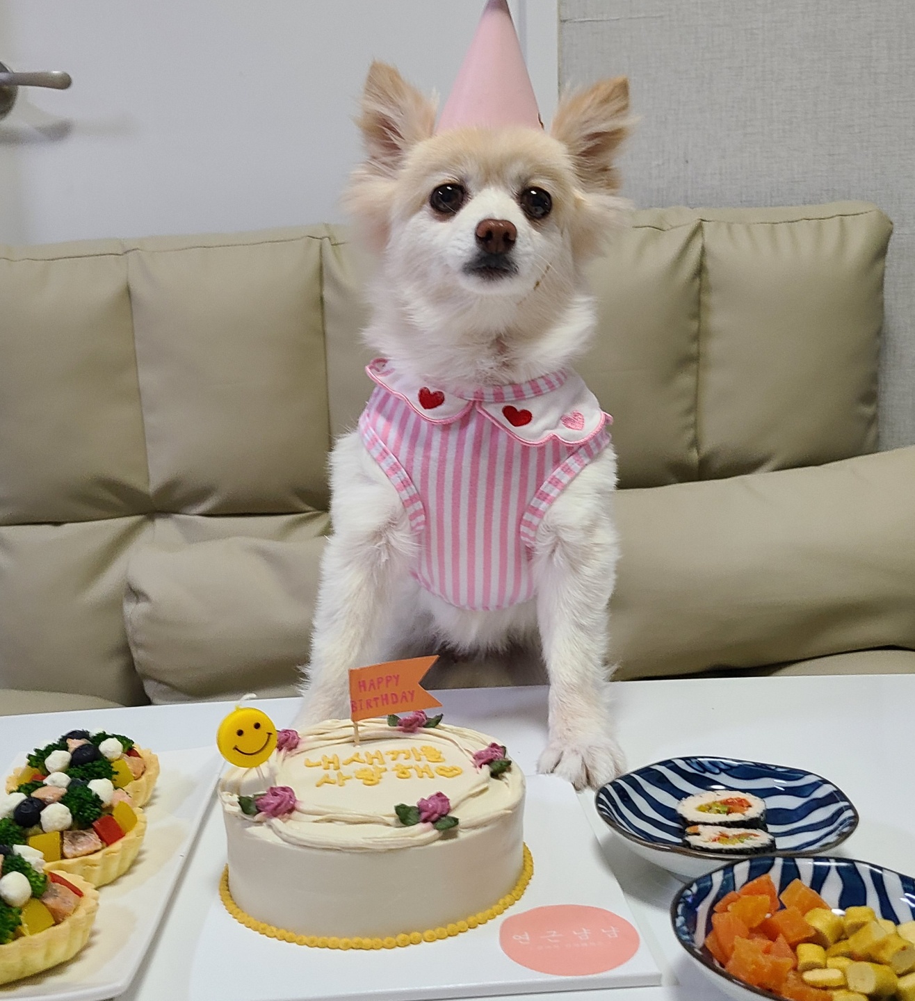 보배랑 3개월